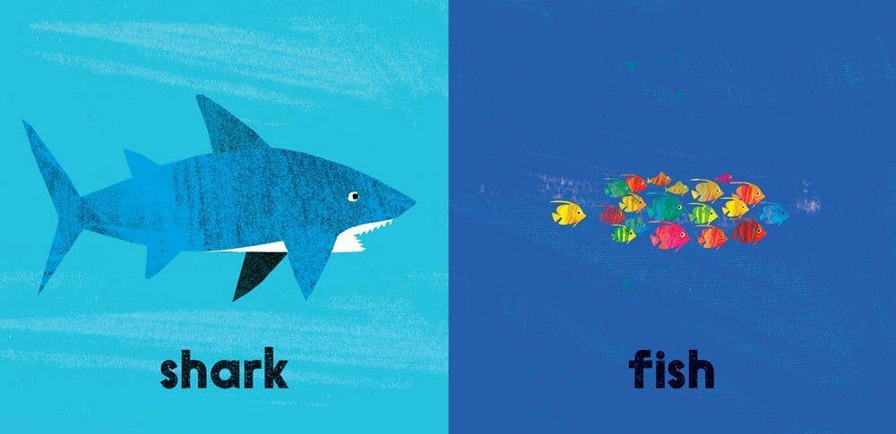 Big and Small: Board Book - Barefoot Books - Agricola Street Books