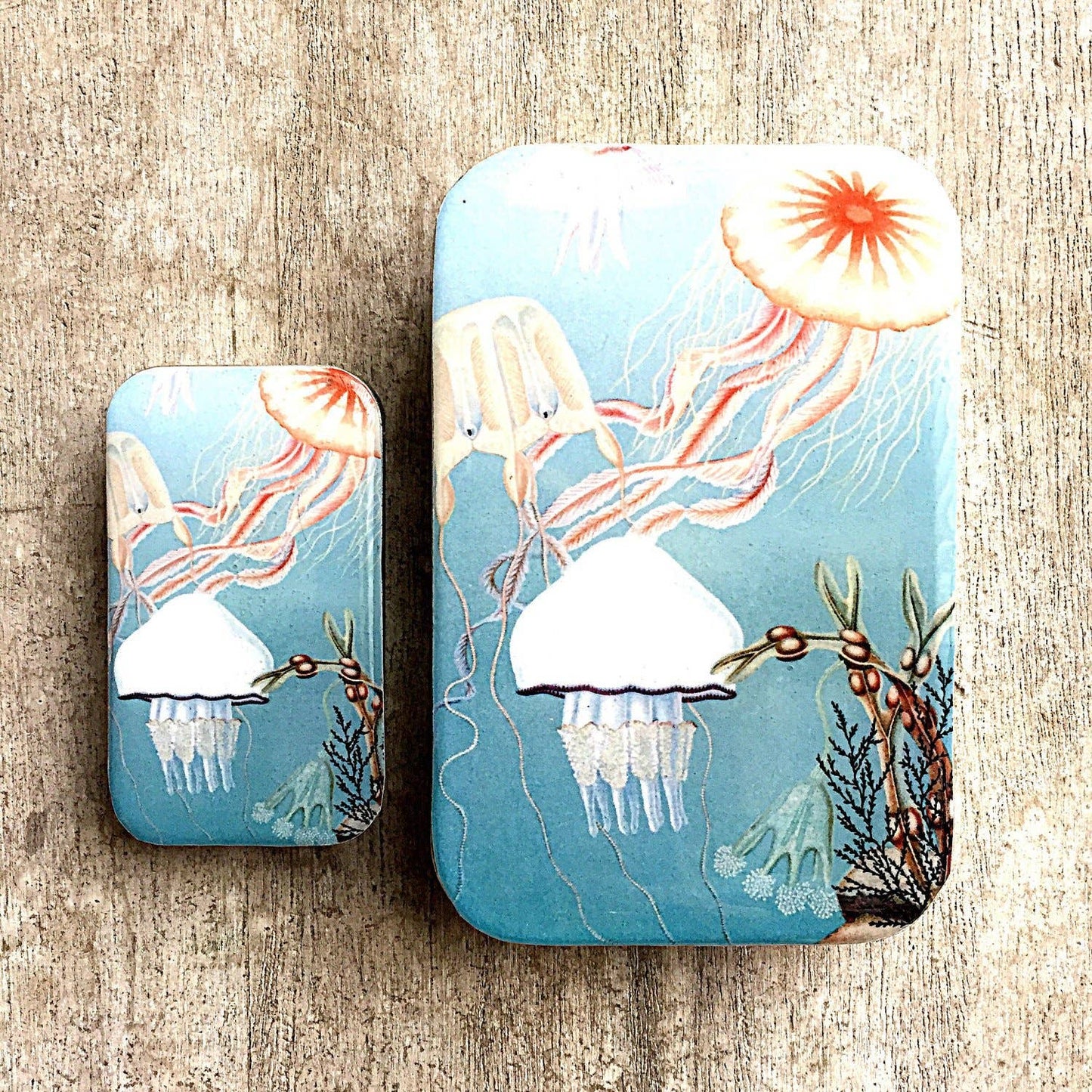 Firefly Notes - Jelly Fish Storage Tin - Agricola Street Books