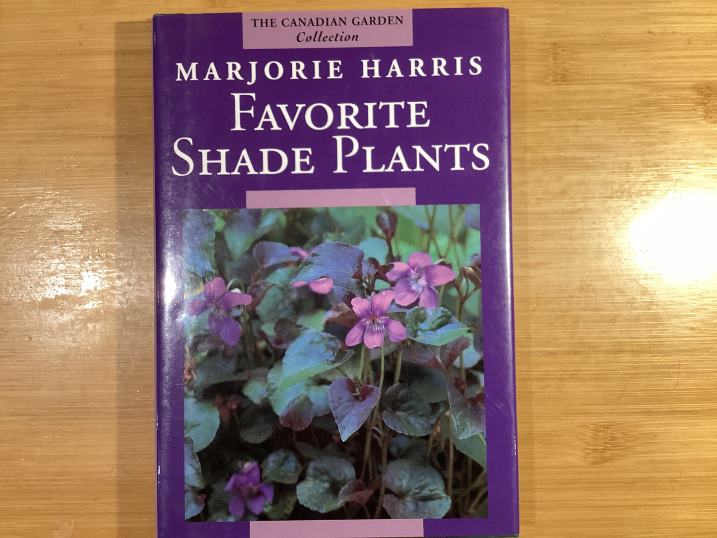 Favorite Shade Plants