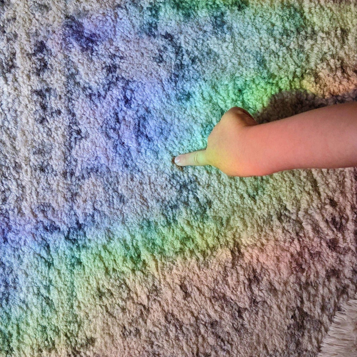 Prismatic Kitty - Ocean Waves Suncatcher - Agricola Street Books