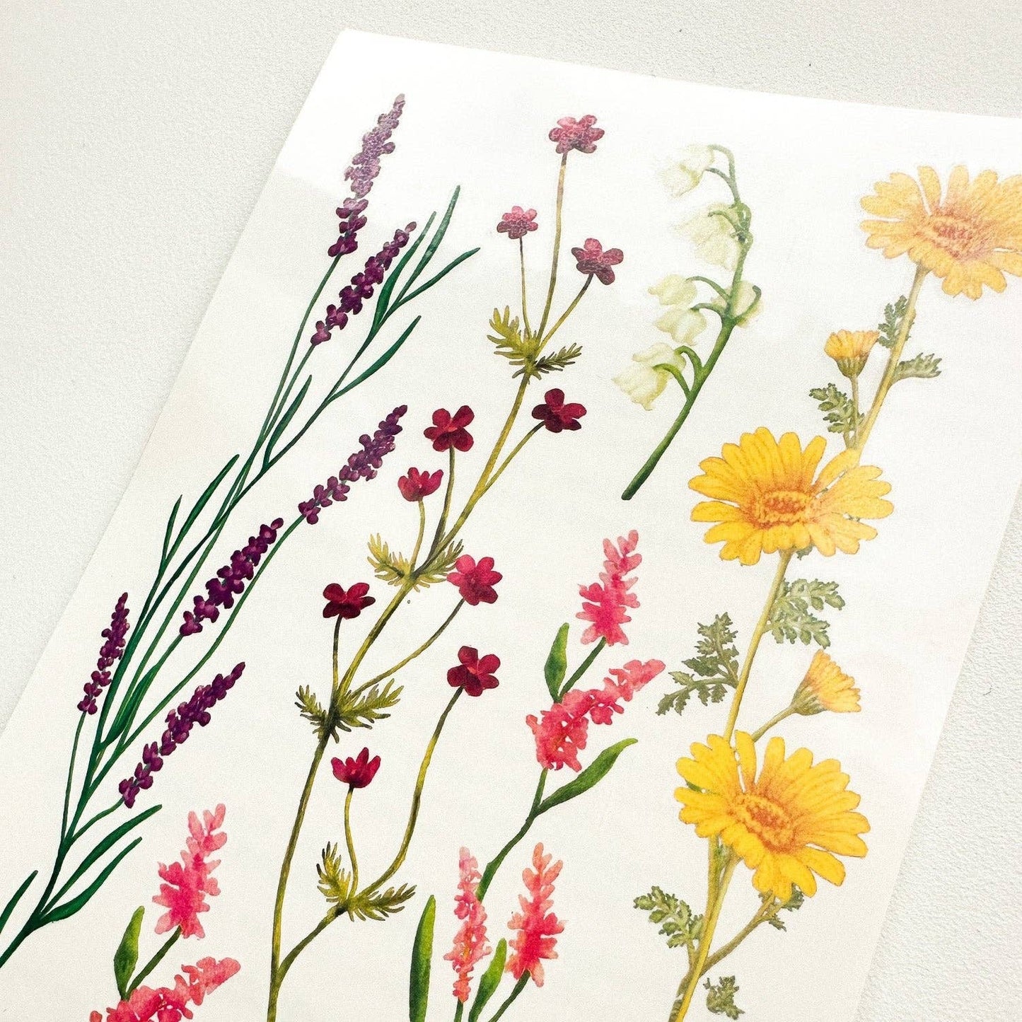 Les Tatoués - Delicate Flowers - Temporary Tattoos