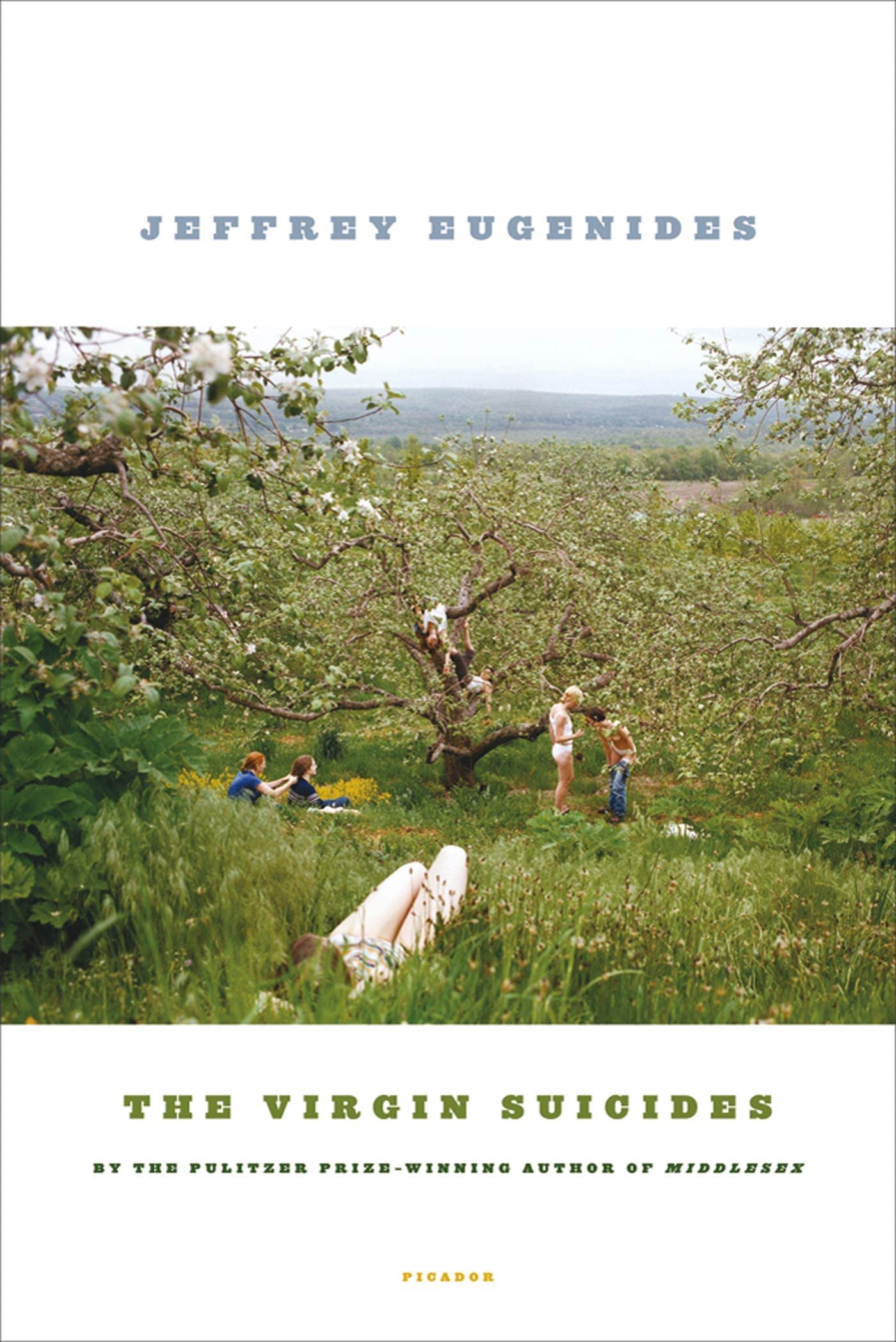 The Virgin Suicides - Agricola Street Books