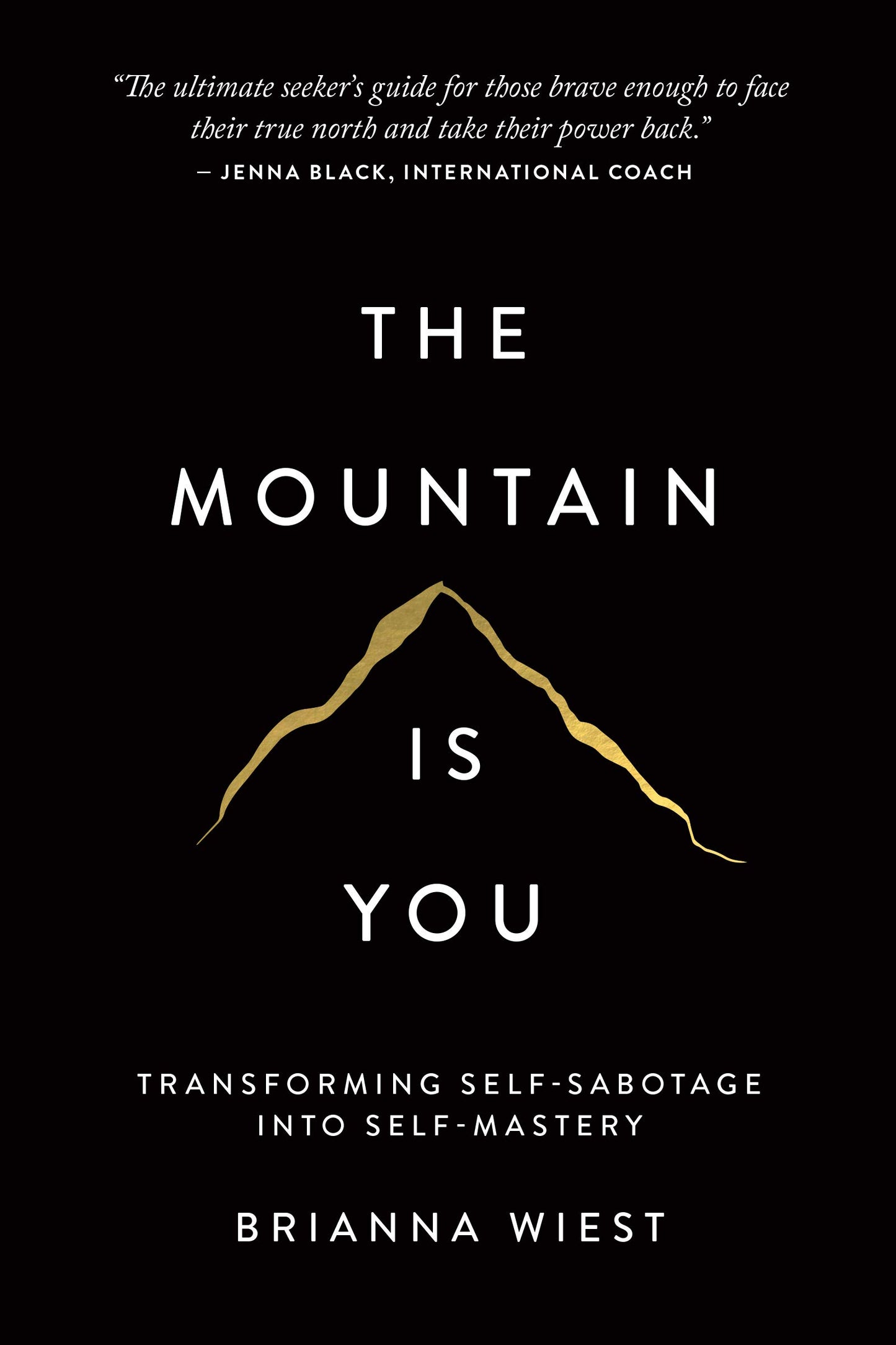 The Mountain is You - Agricola Street Books