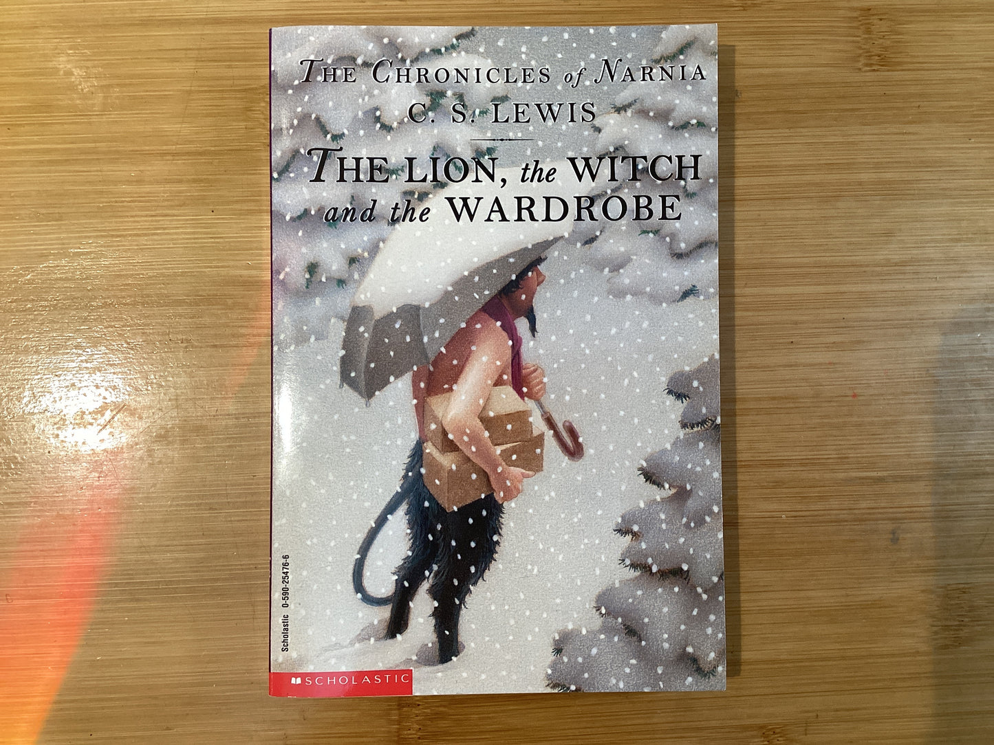 The Lion, the Witch and the Wardrobe - Agricola Street Books