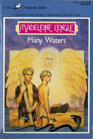 Many Waters (Time Quintet #4) - Agricola Street Books