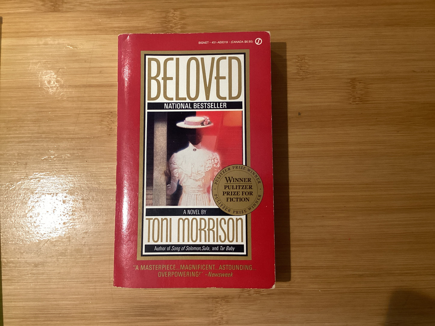 Beloved (Beloved Trilogy #1) - Agricola Street Books