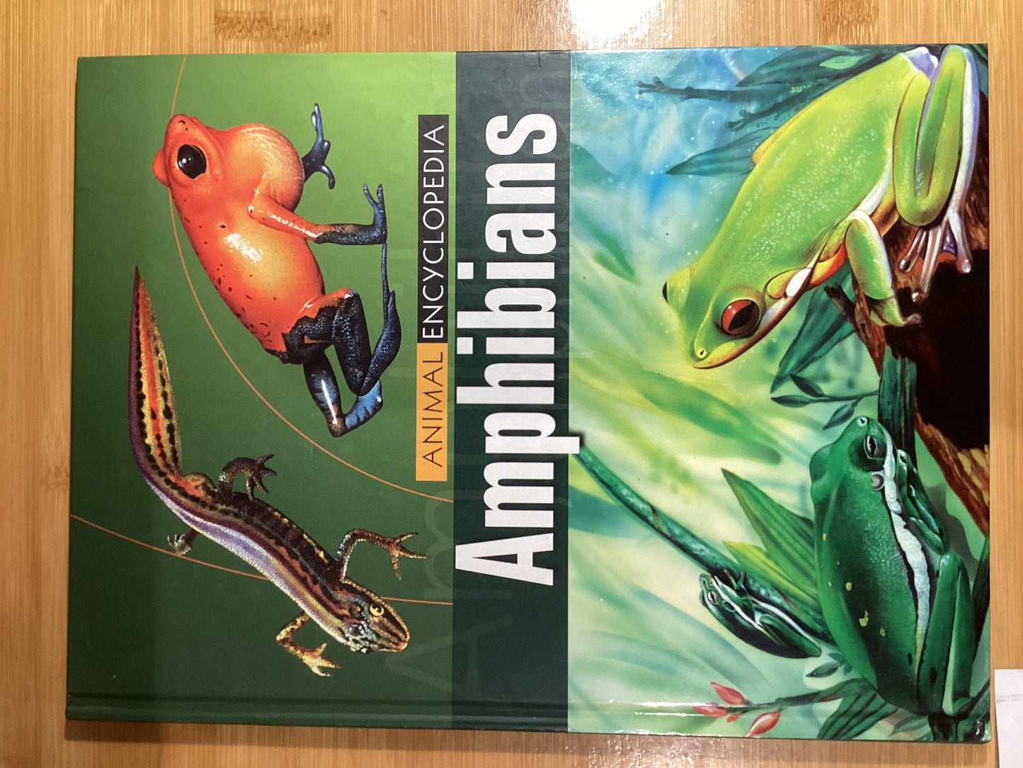 Animal Encyclopedia: Amphibians - Agricola Street Books