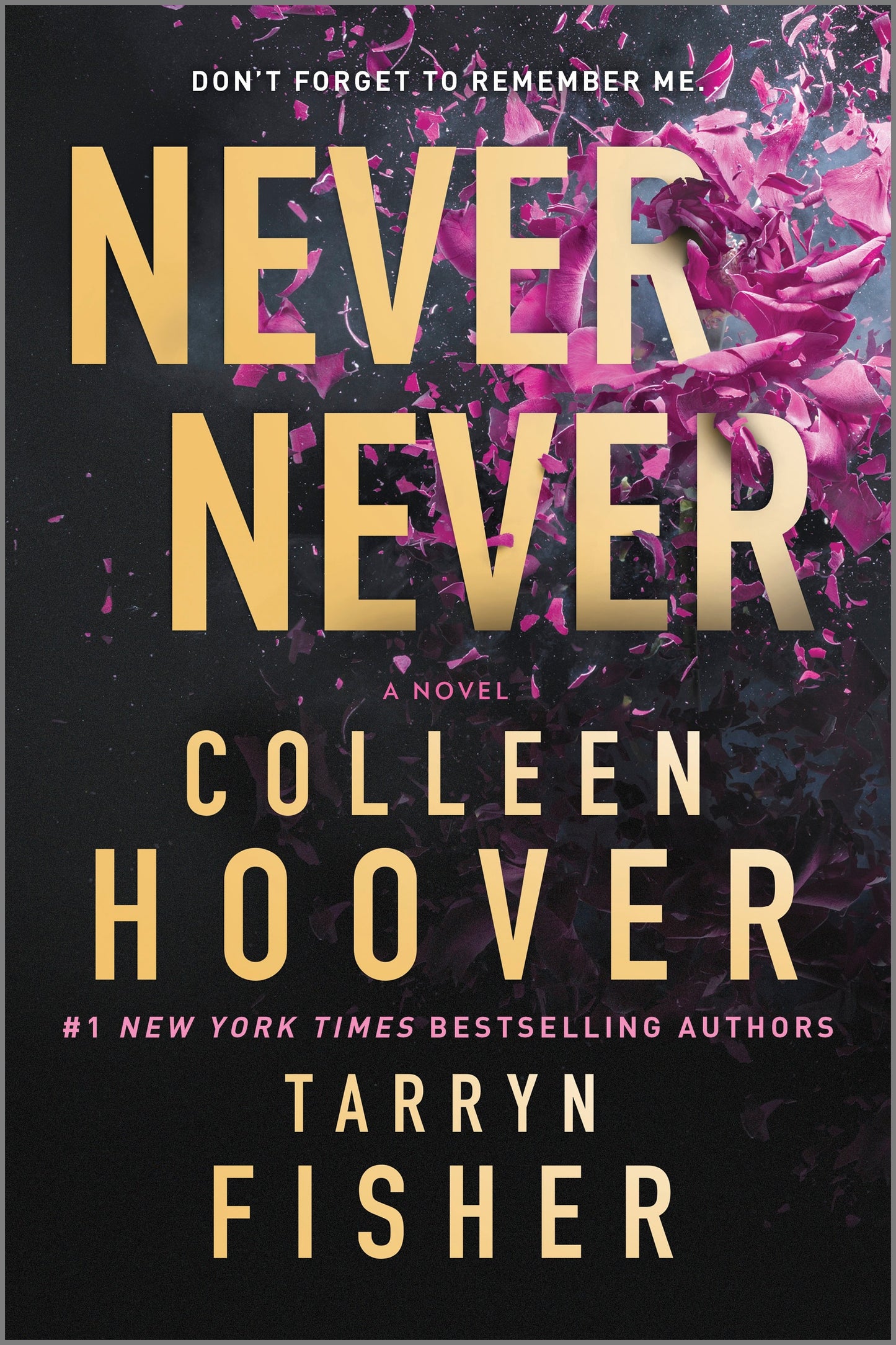 Never Never (Never Never #1-3) - Agricola Street Books