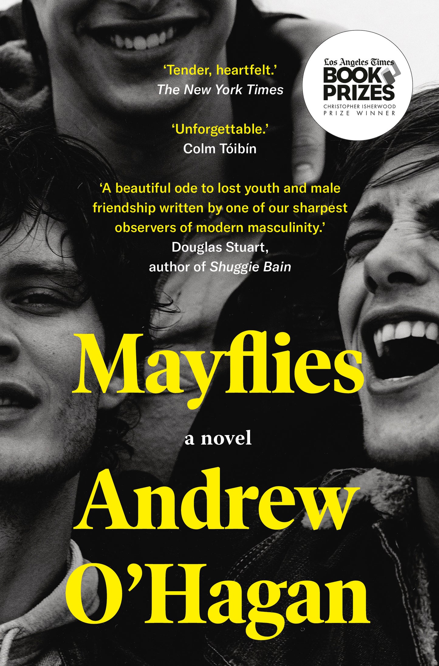 Mayflies - Agricola Street Books