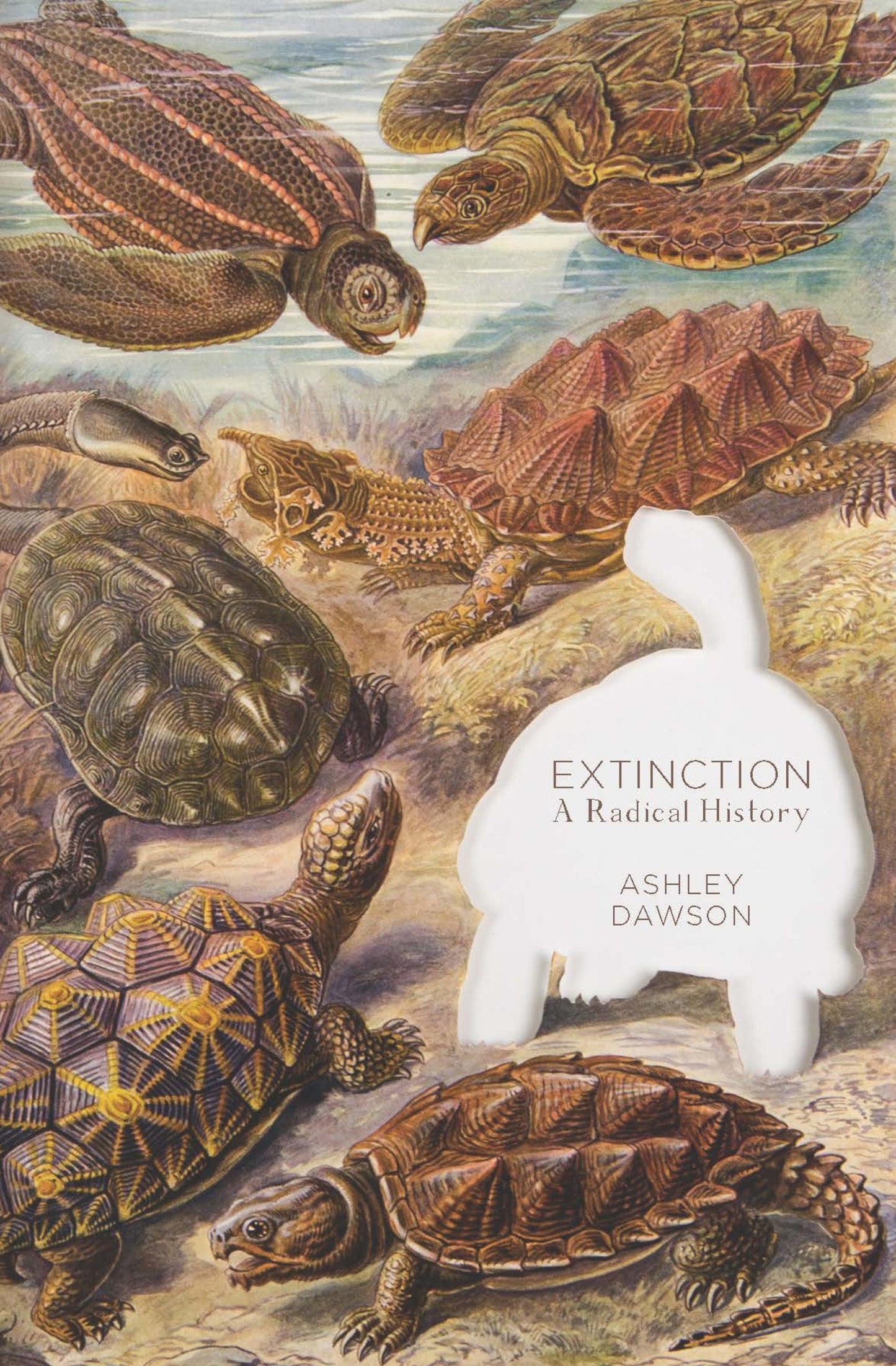 Extinction: A Radical History - Agricola Street Books