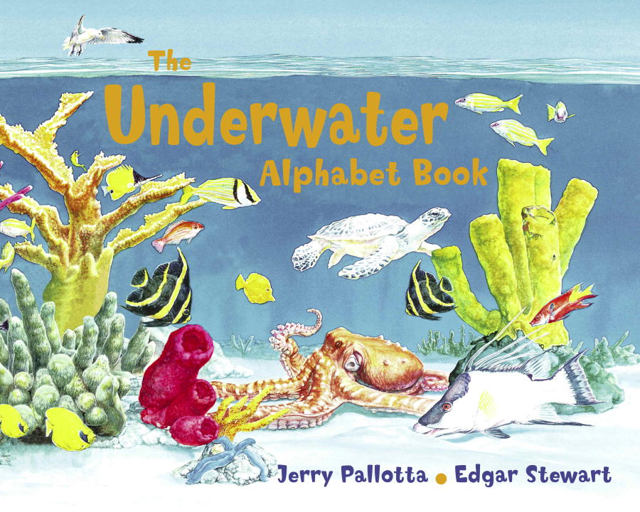The Underwater Alphabet Book - Agricola Street Books