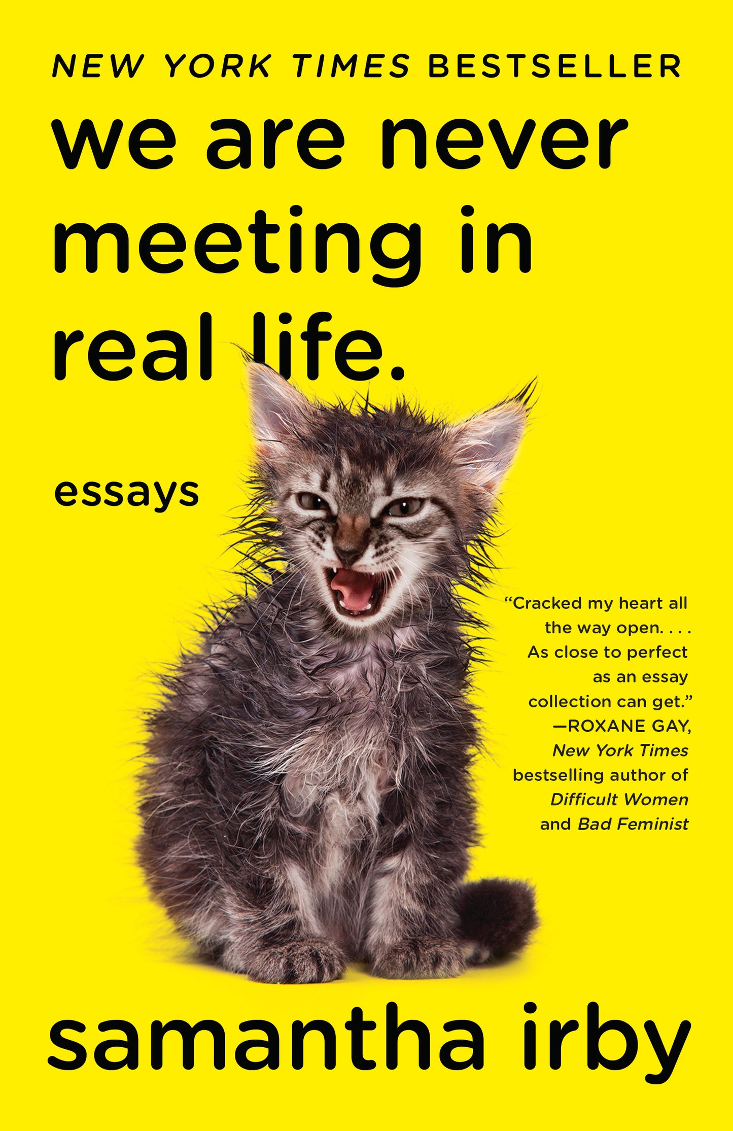 We Are Never Meeting in Real Life. - Agricola Street Books