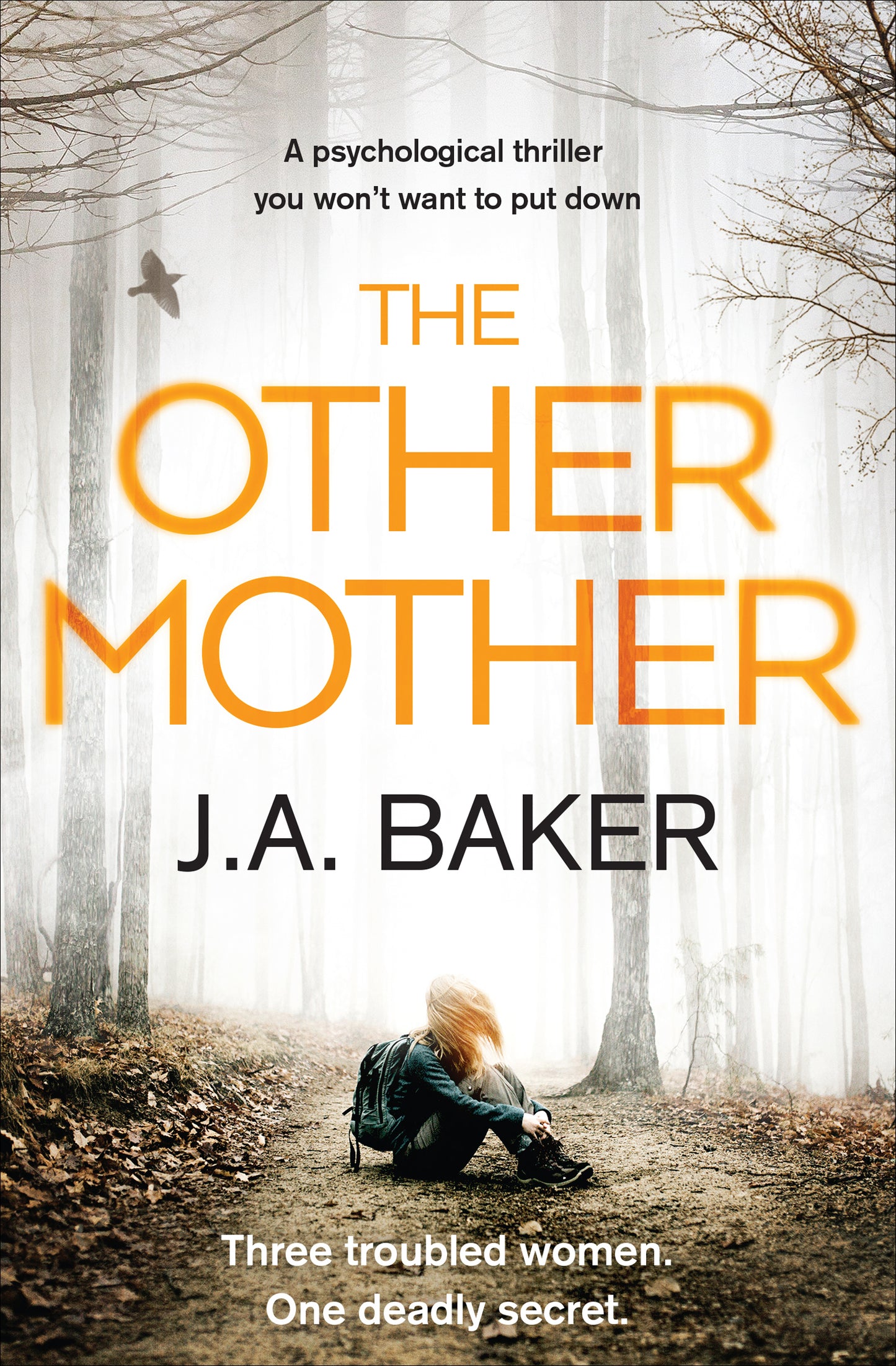 The Other Mother - Agricola Street Books