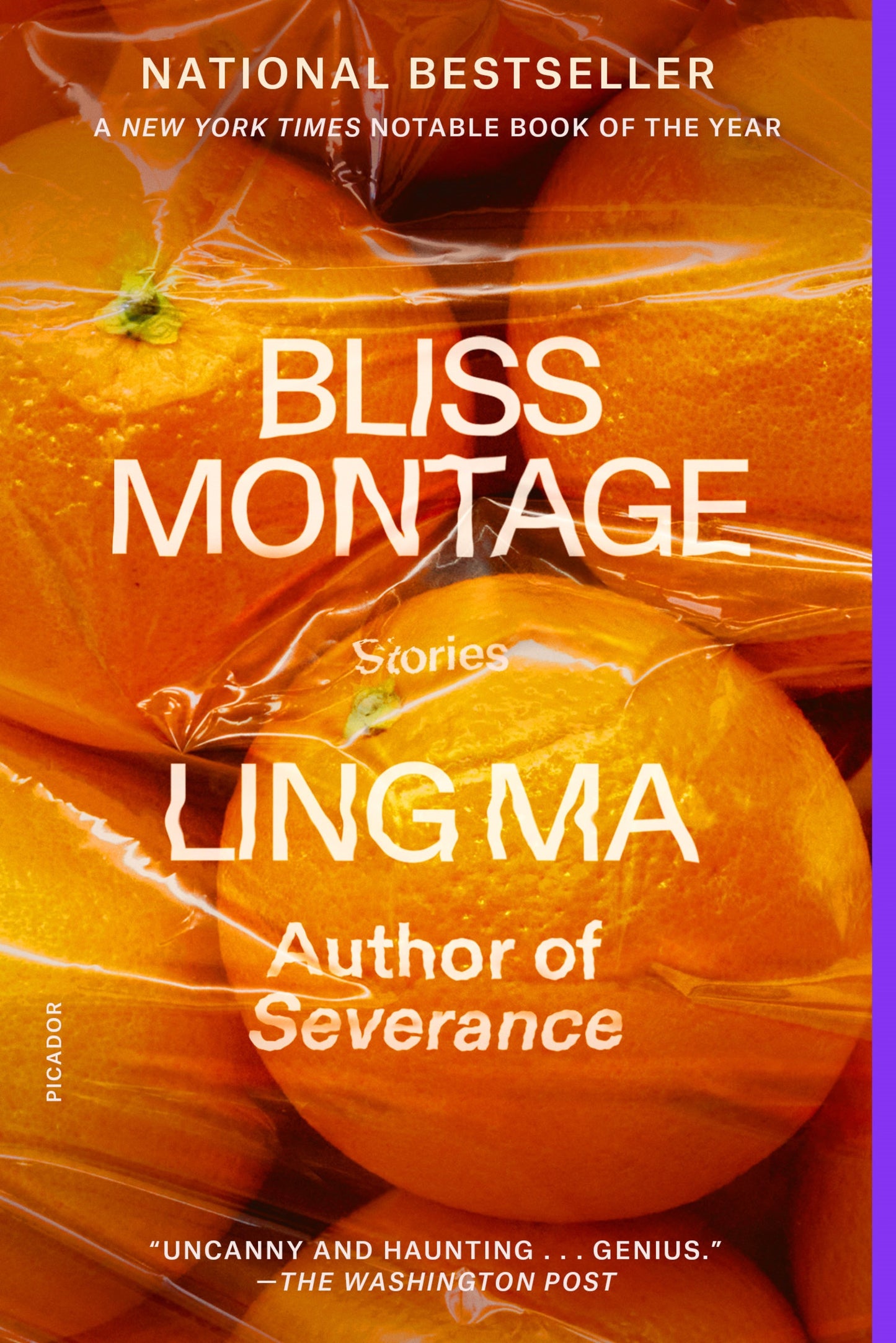 Bliss Montage - Agricola Street Books