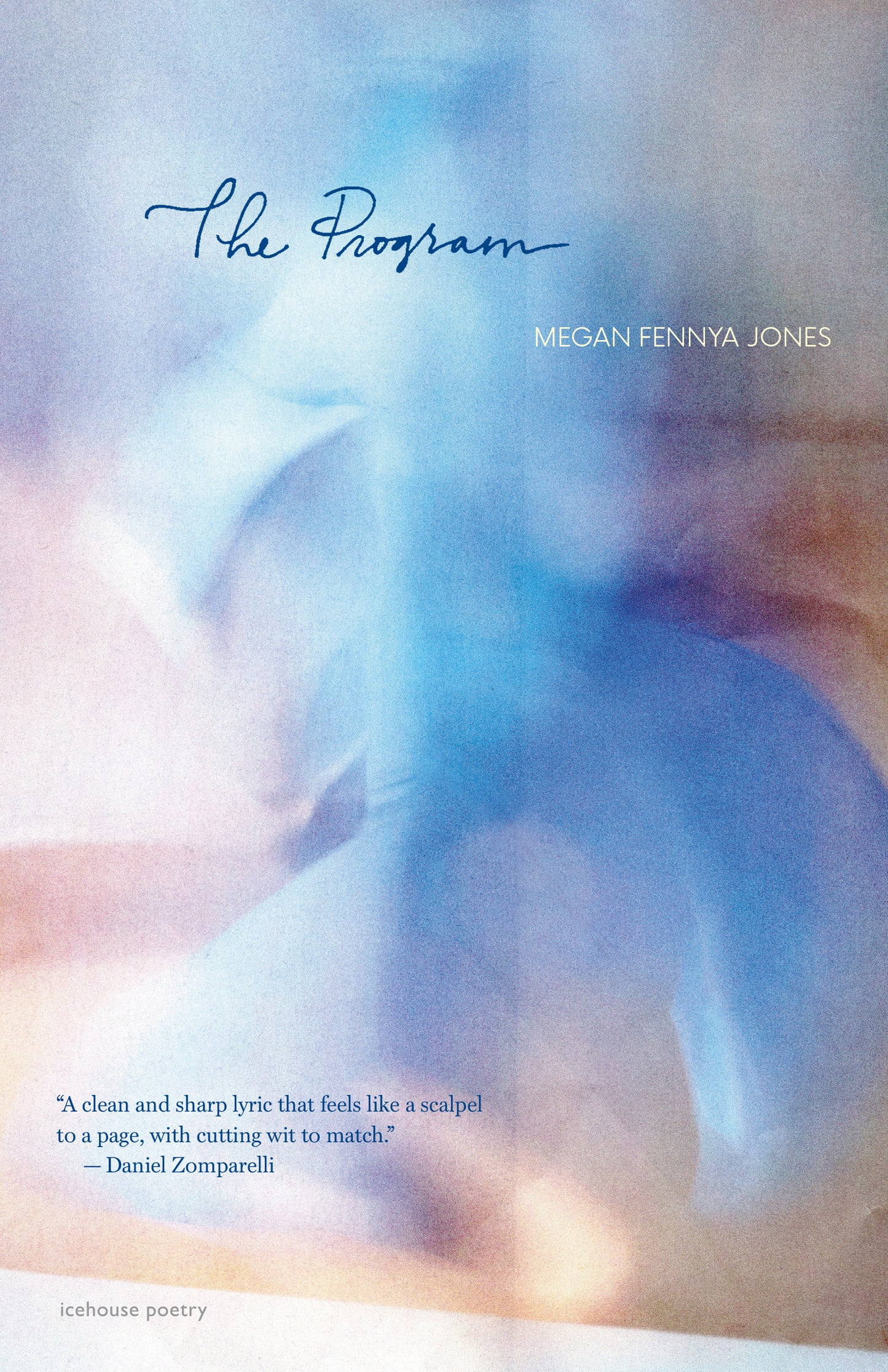 The Program - Agricola Street Books