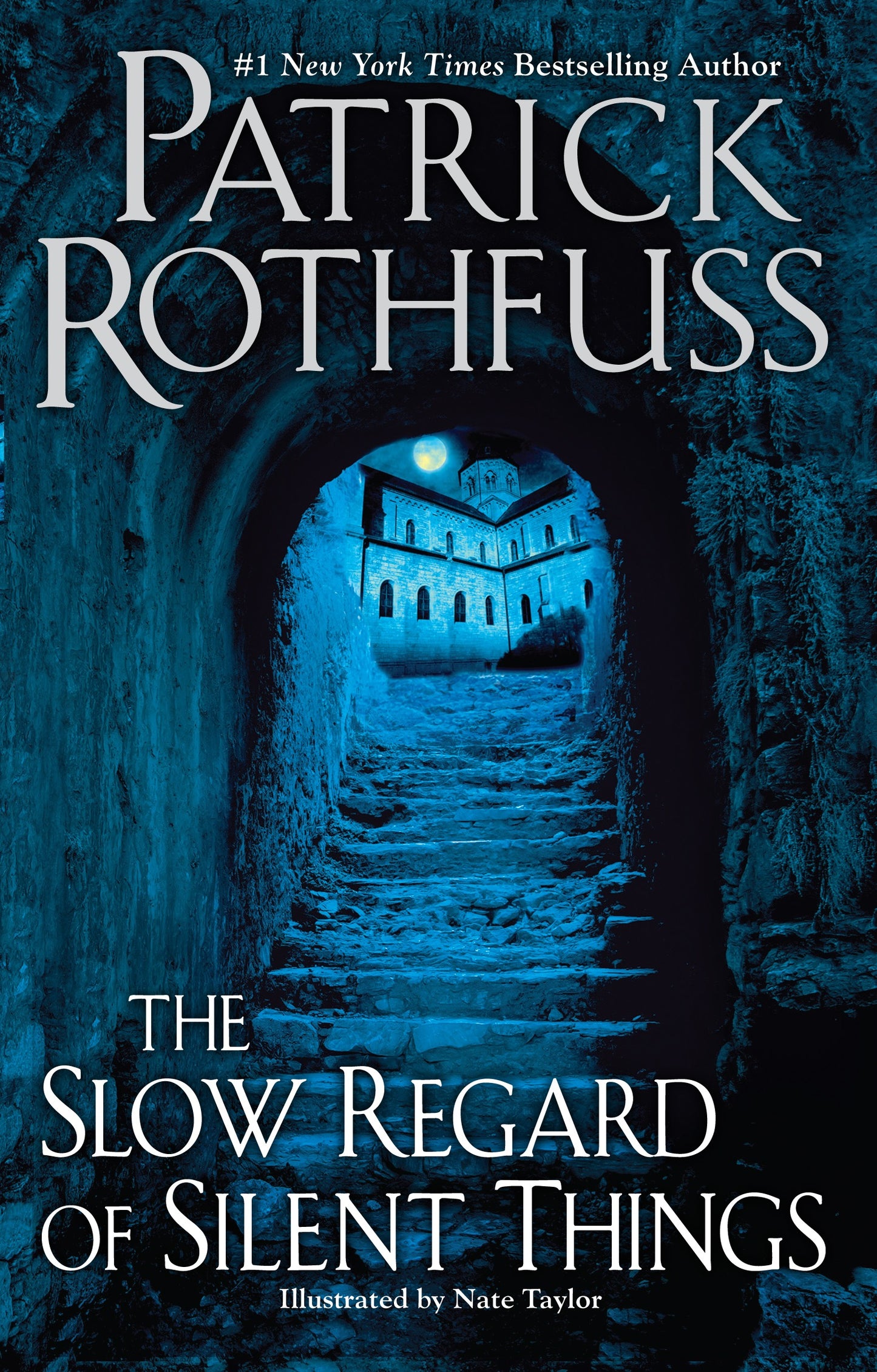 The Slow Regard of Silent Things - Agricola Street Books