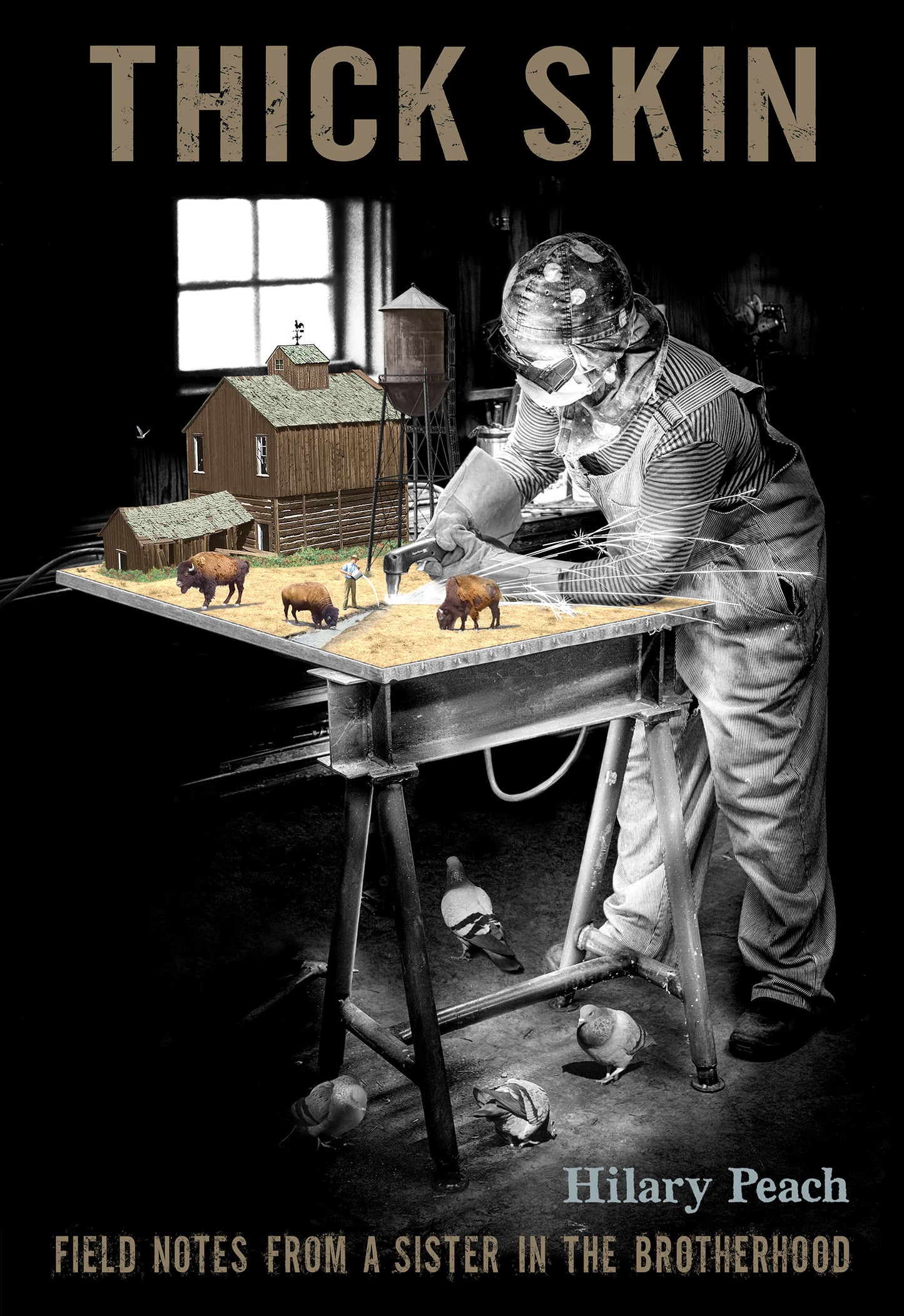 Thick Skin - Agricola Street Books