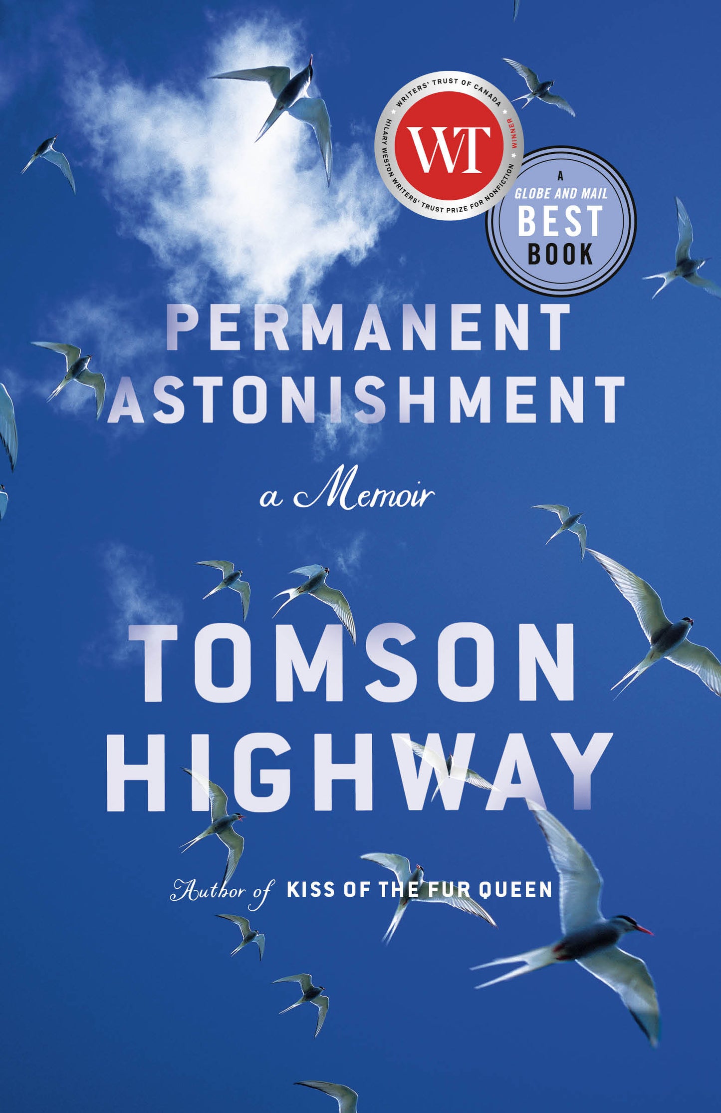 Permanent Astonishment - Agricola Street Books