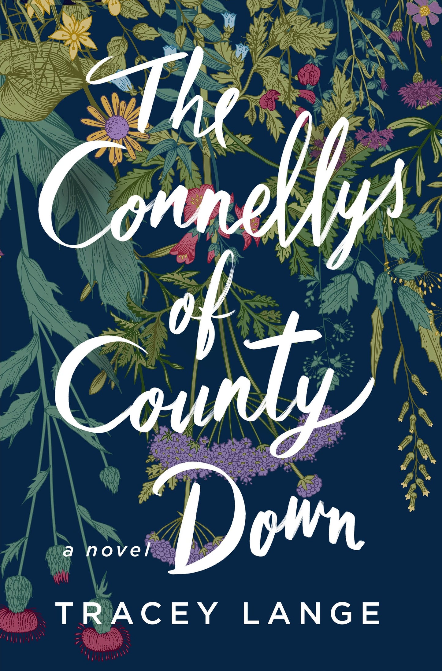 The Connellys of County Down - Agricola Street Books