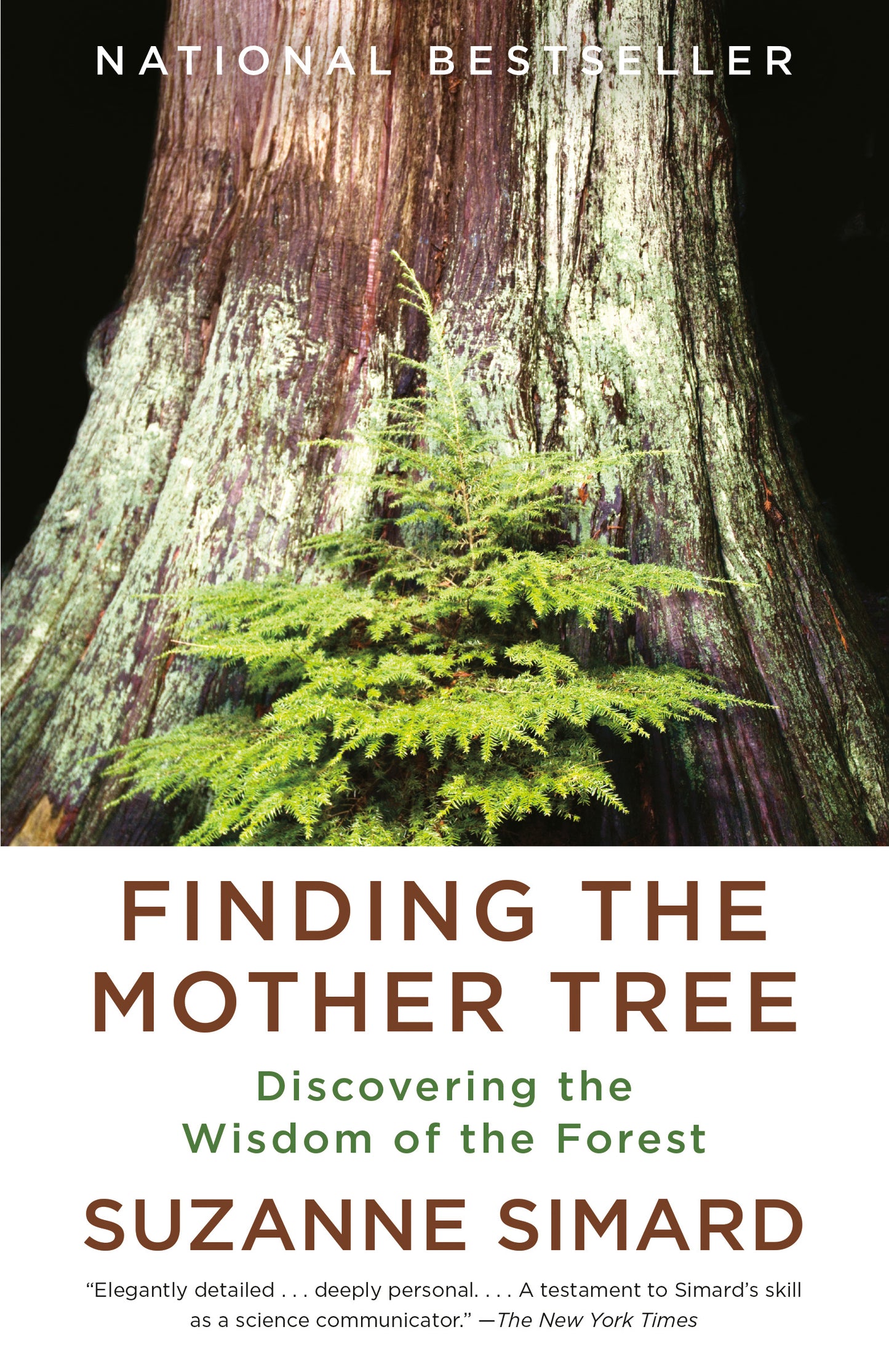 Finding the Mother Tree - Agricola Street Books