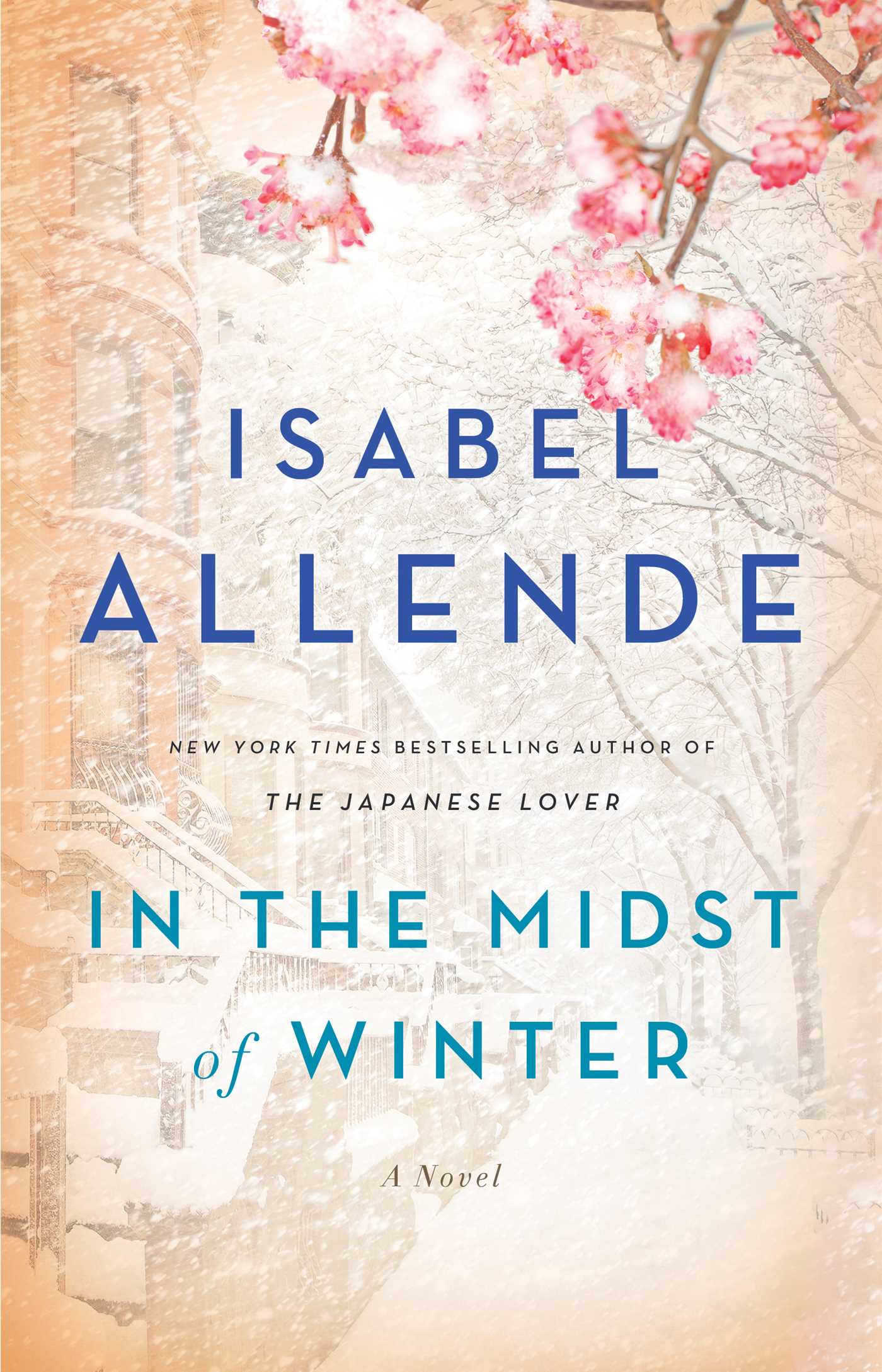 In the Midst of Winter - Agricola Street Books