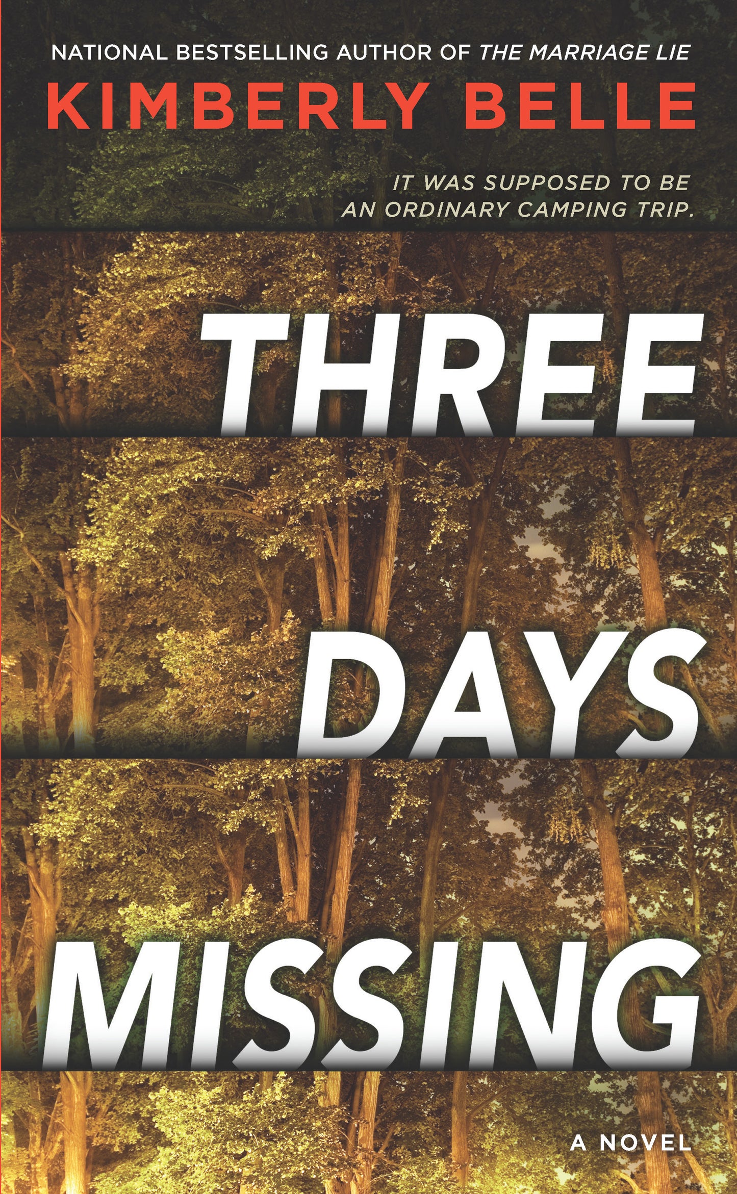 Three Days Missing - Agricola Street Books