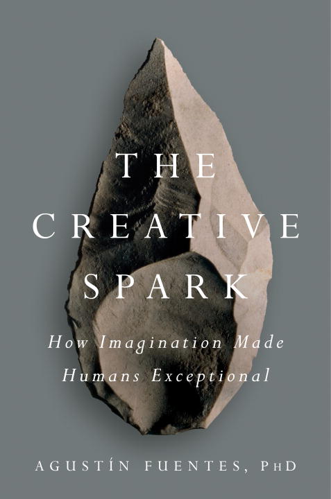 The Creative Spark - Agricola Street Books