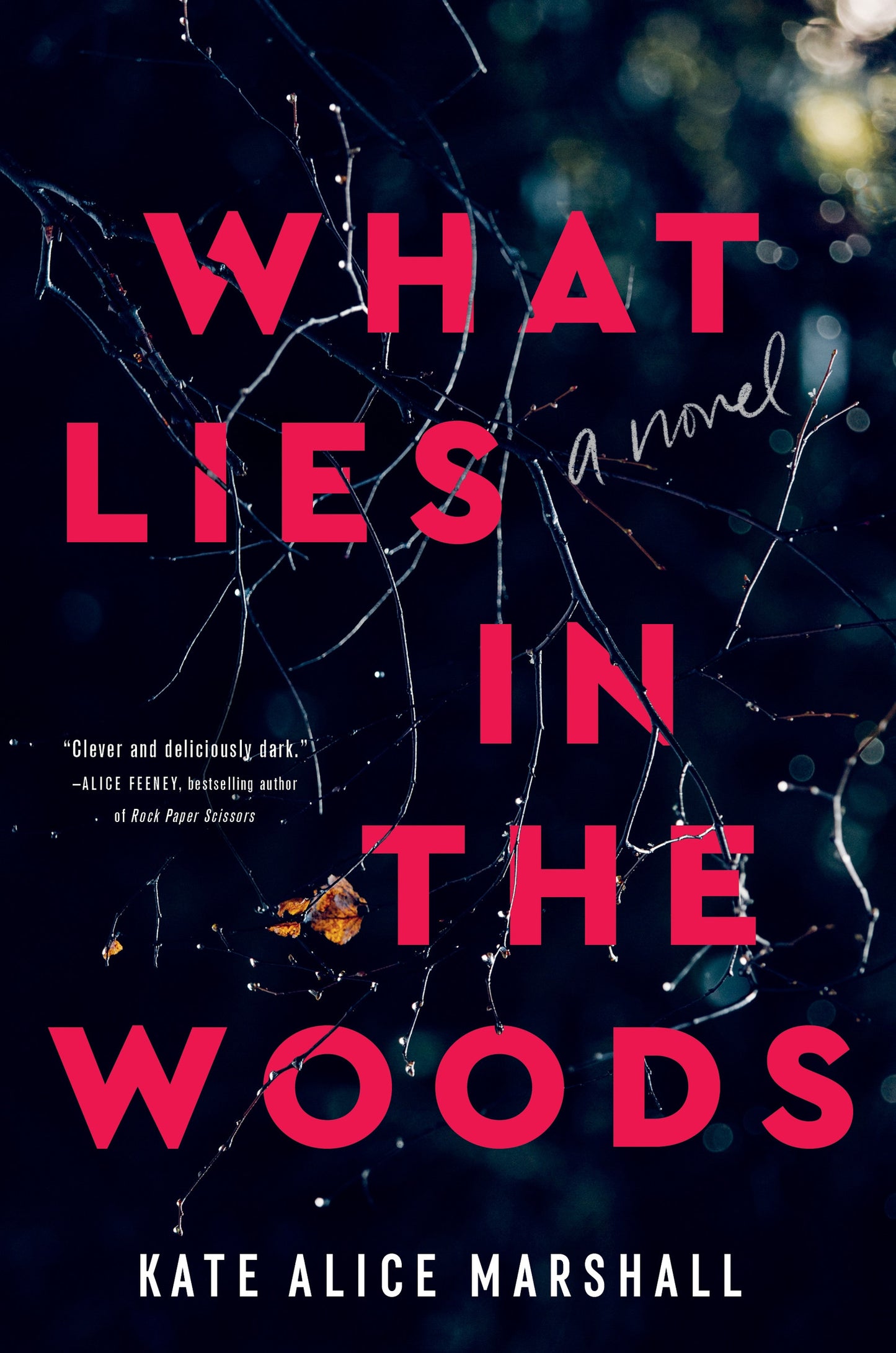 What Lies in the Woods - Agricola Street Books