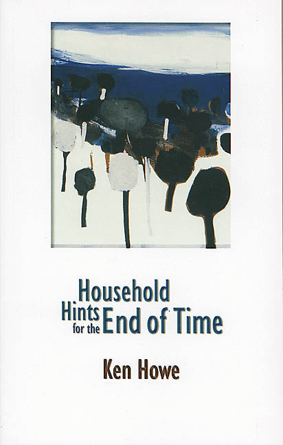 Household Hints for the End of Time - Agricola Street Books