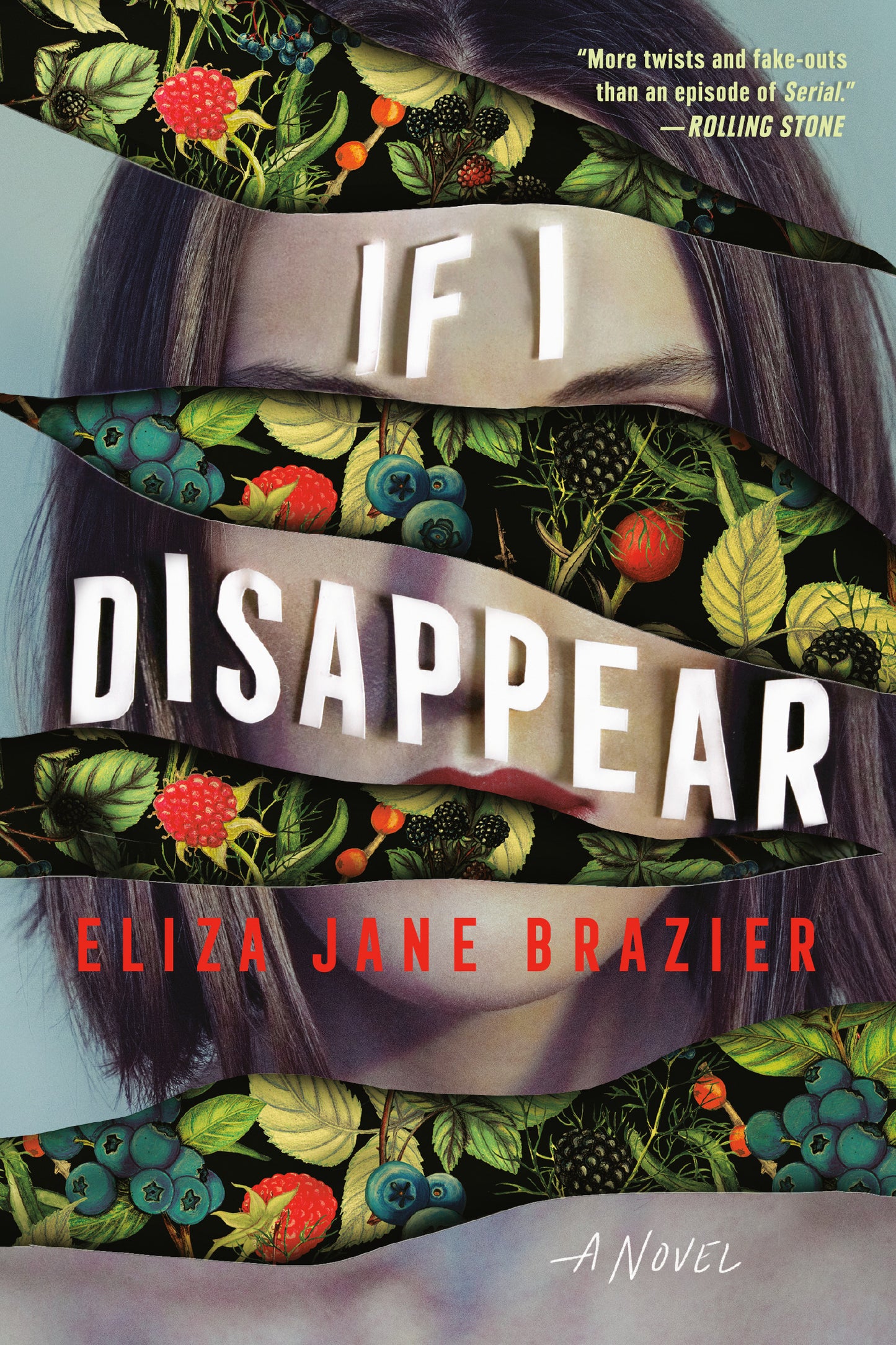 If I Disappear - Agricola Street Books