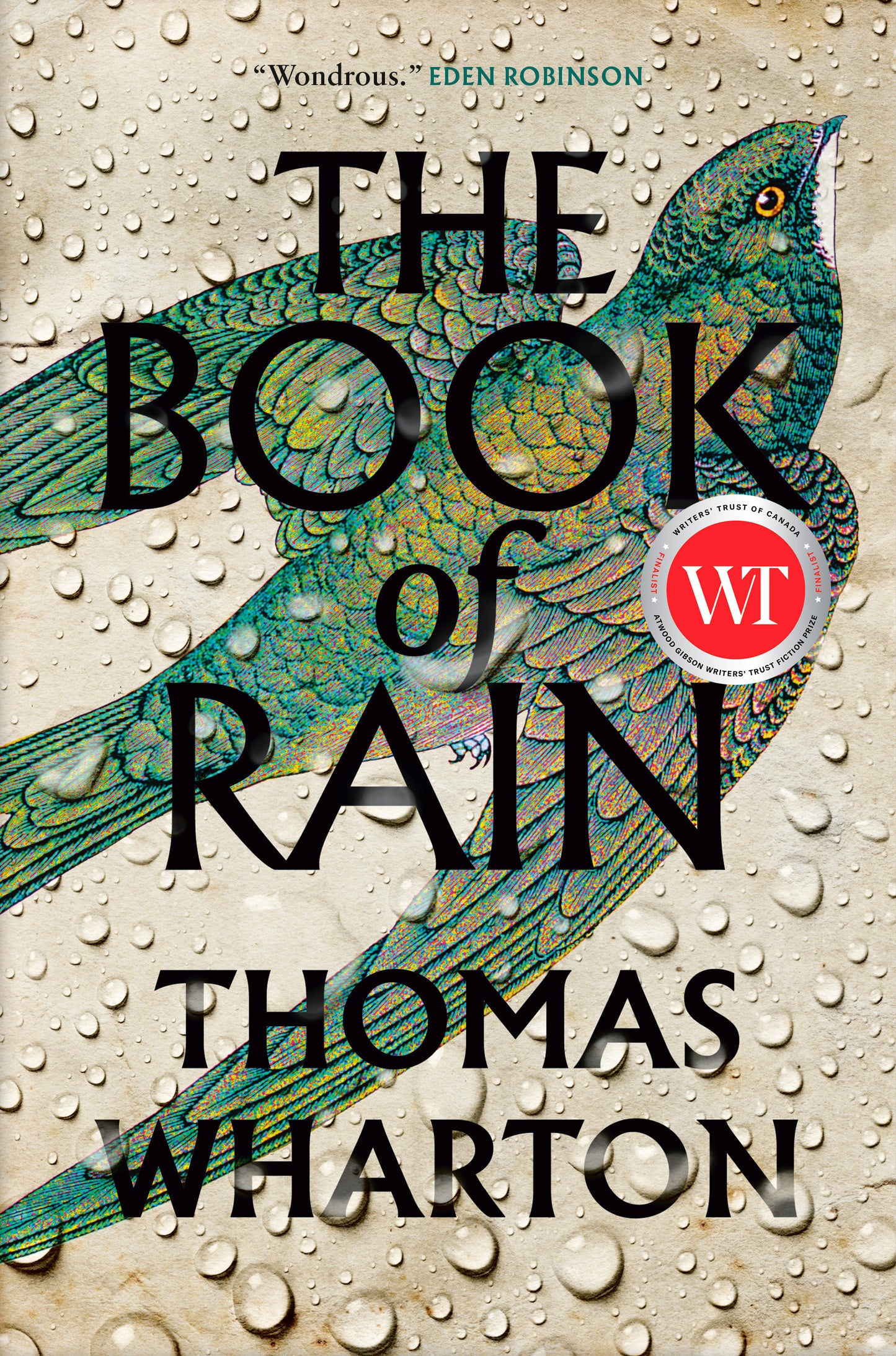 The Book of Rain - Agricola Street Books