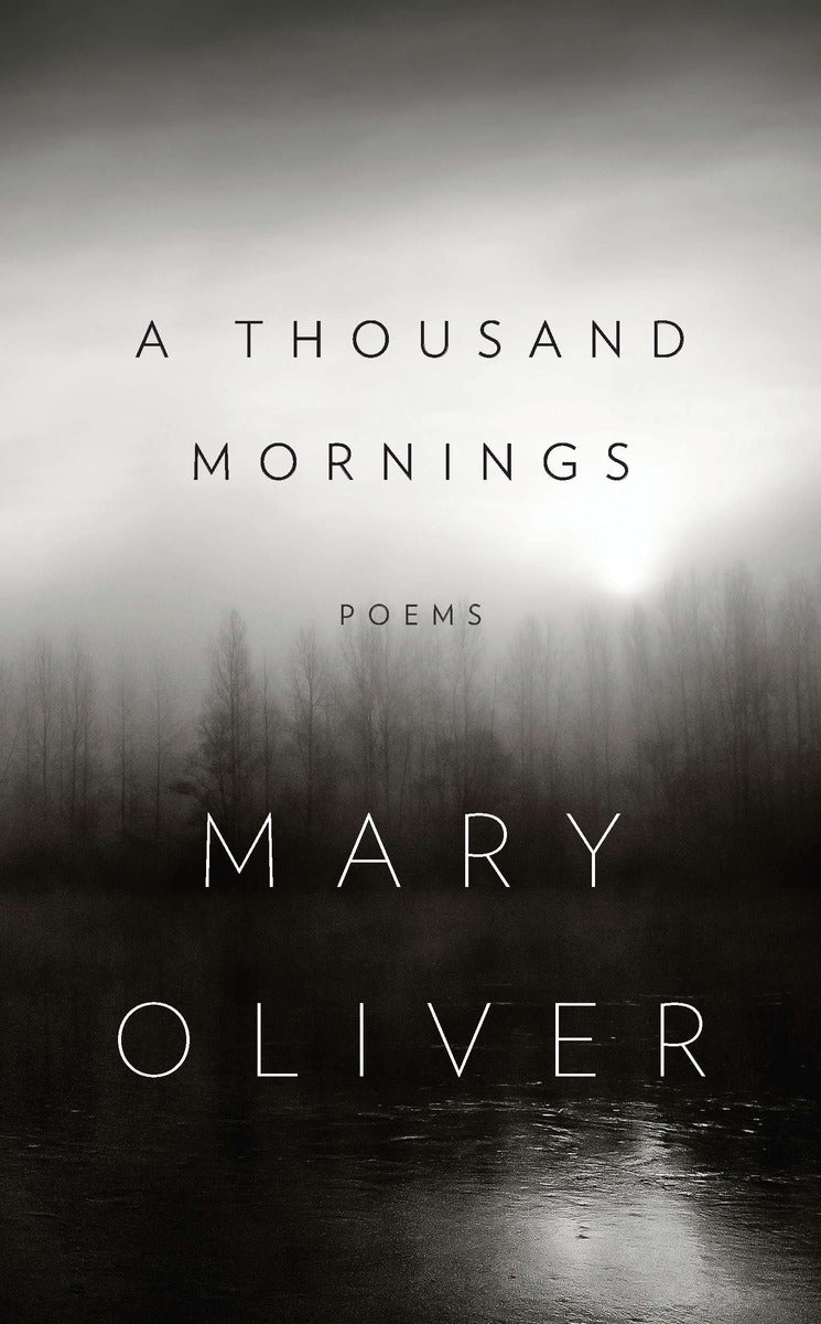 A Thousand Mornings - Agricola Street Books