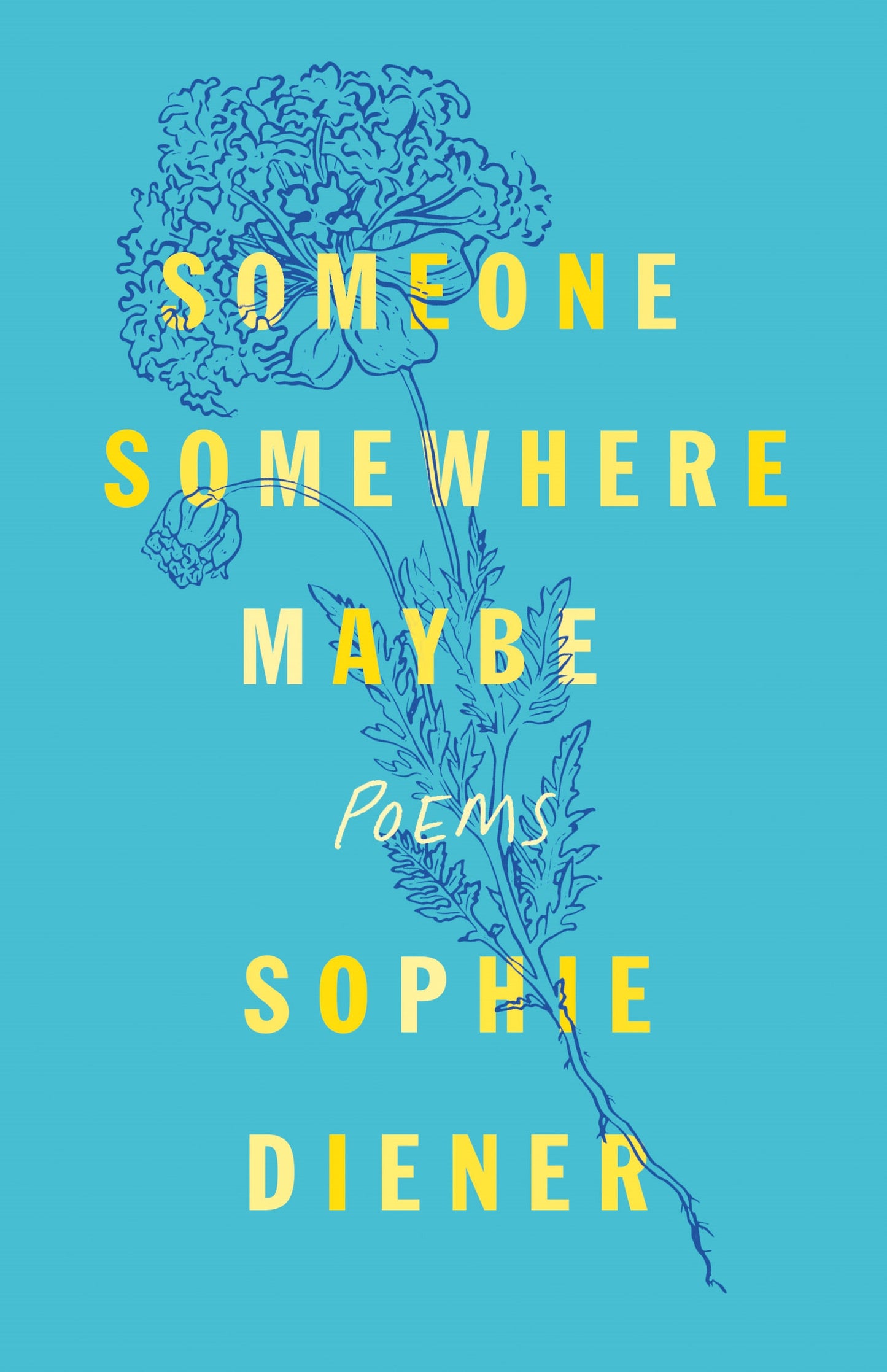 Someone Somewhere Maybe