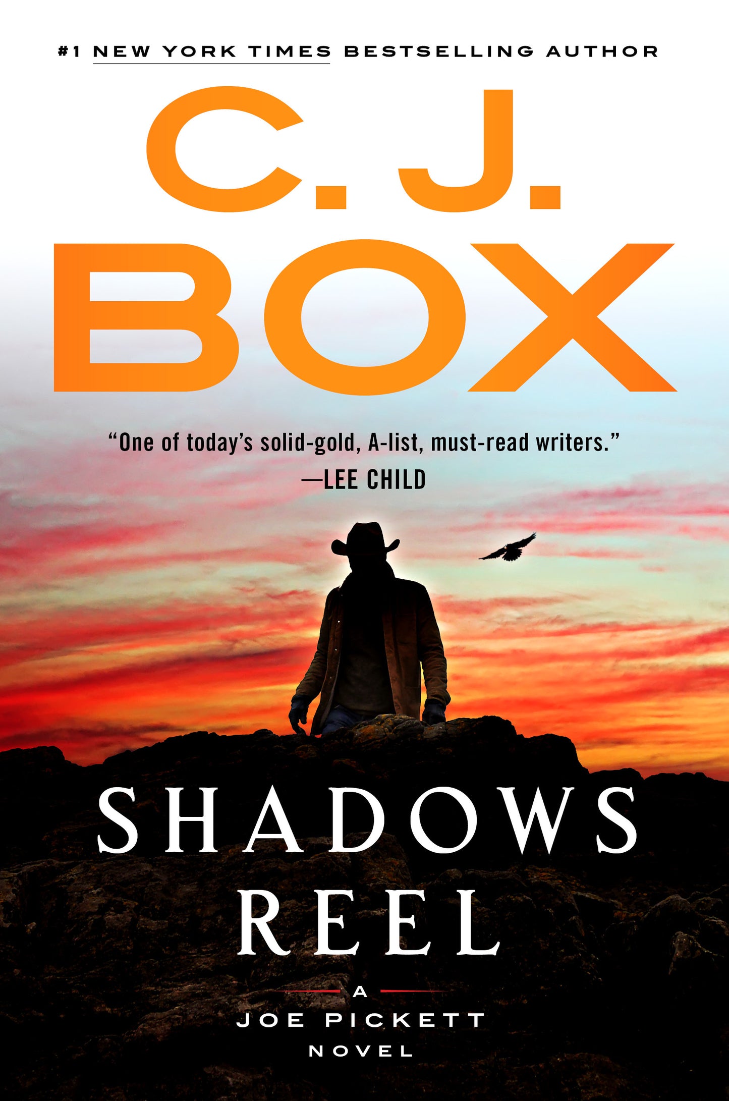 Shadows Reel - Agricola Street Books