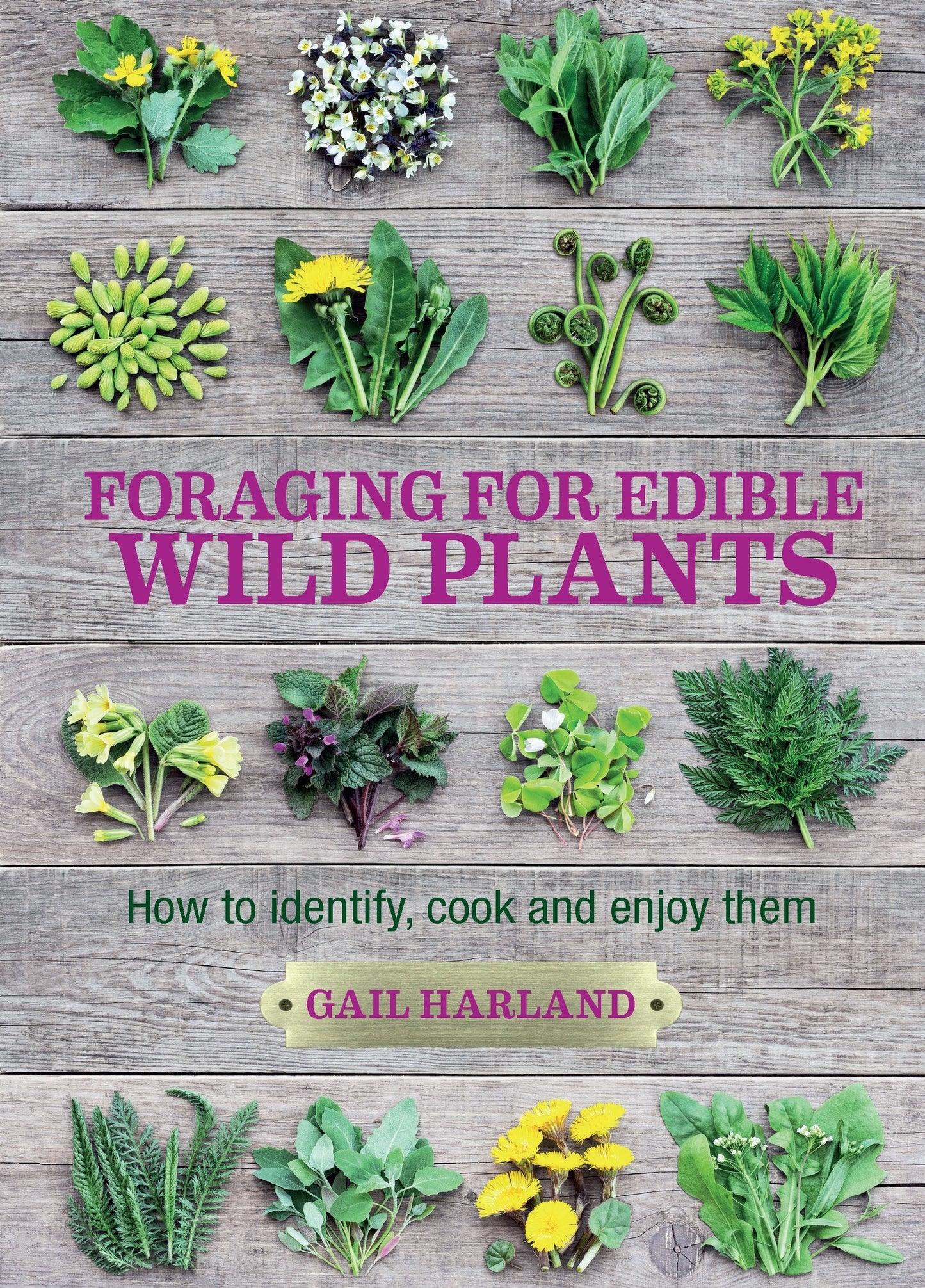Foraging for Edible Wild Plants - Agricola Street Books