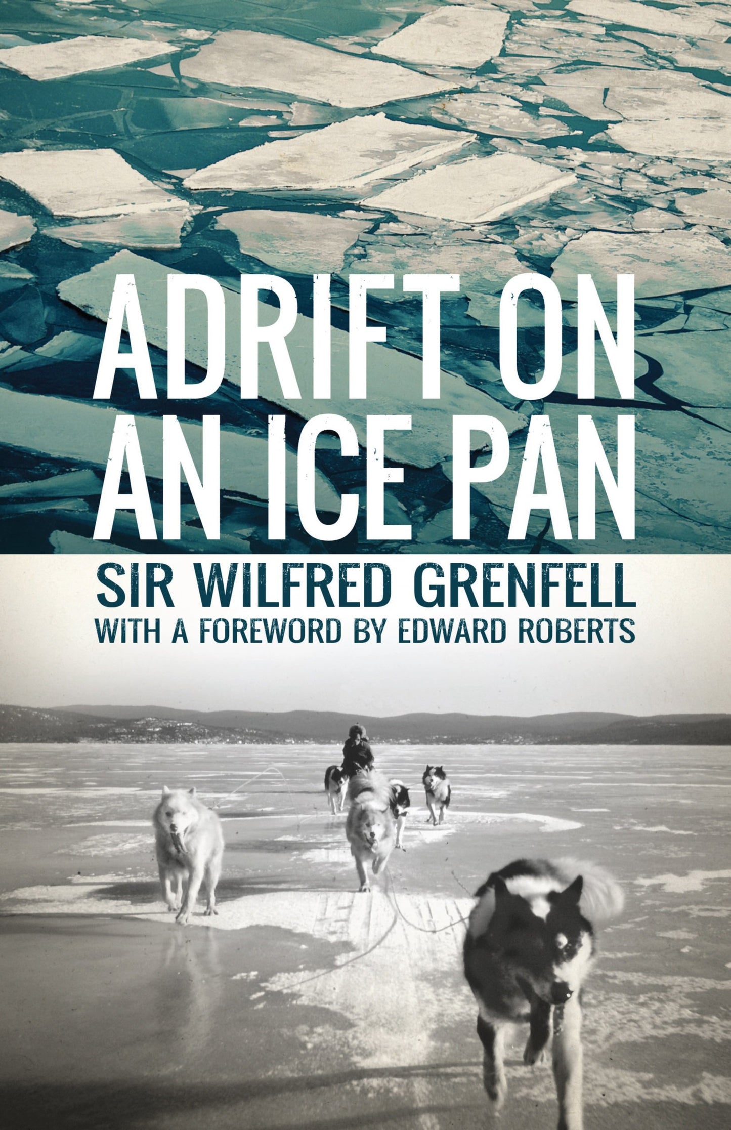 Adrift on an Ice Pan - Agricola Street Books