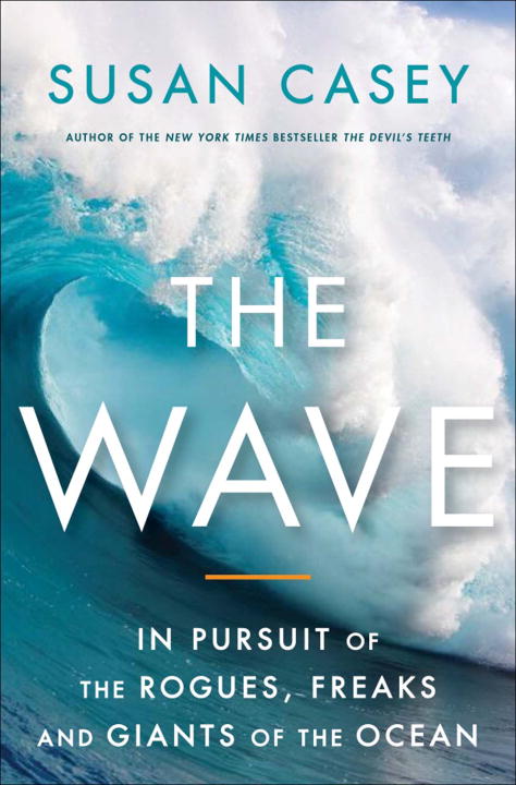 The Wave: In Pursuit of the Rogues, Freaks, and Giants of the Ocean - Agricola Street Books