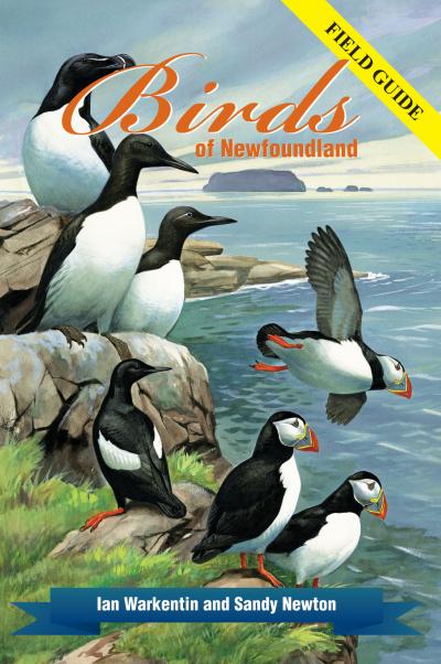 Birds of Newfoundland - Agricola Street Books