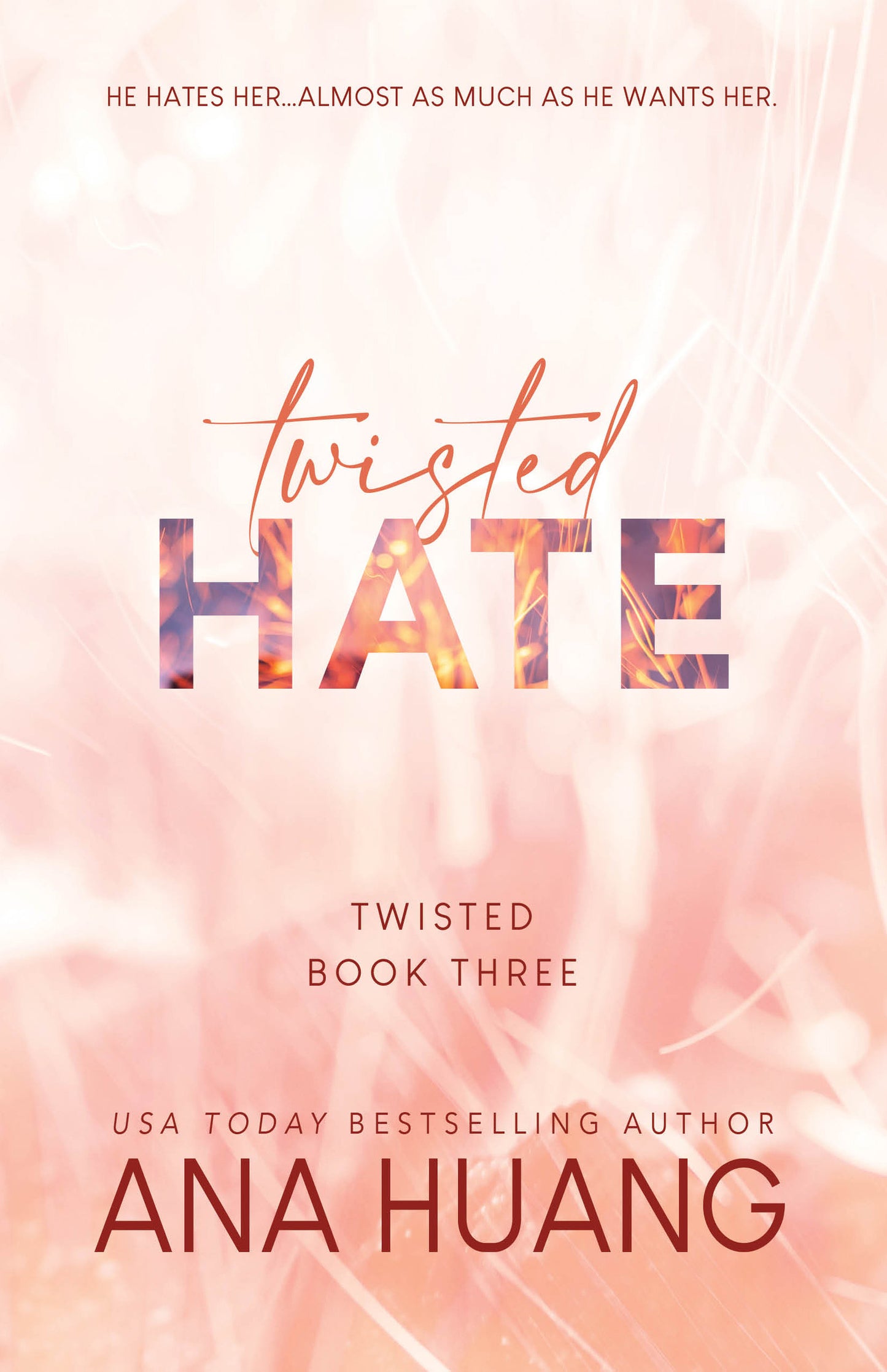 Twisted Hate (Twisted #3) - Agricola Street Books