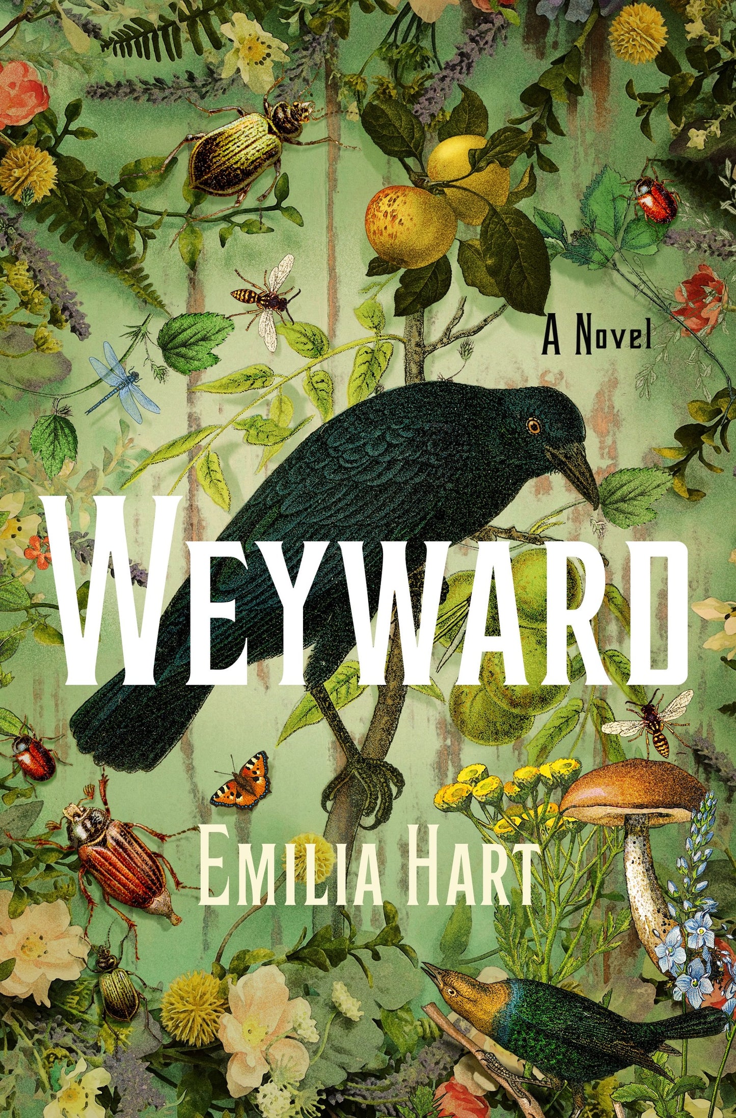 Weyward - Agricola Street Books
