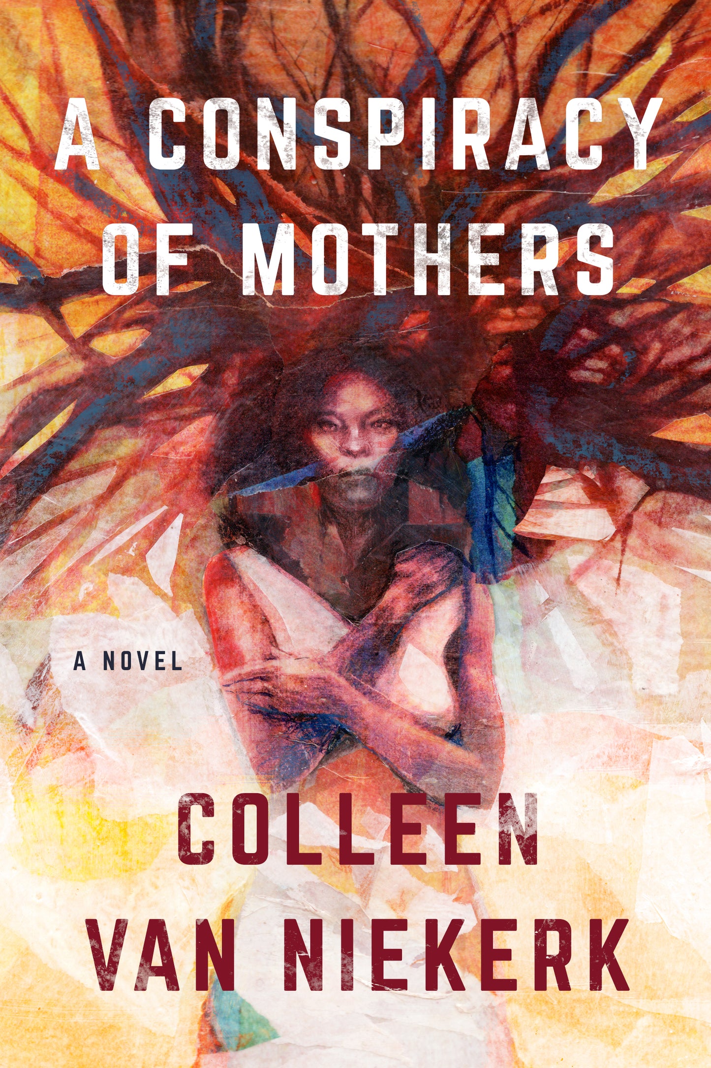 A Conspiracy of Mothers - Agricola Street Books