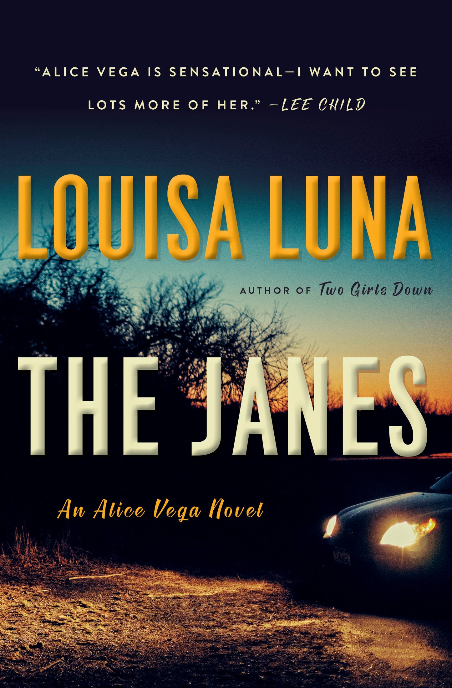 The Janes - Agricola Street Books