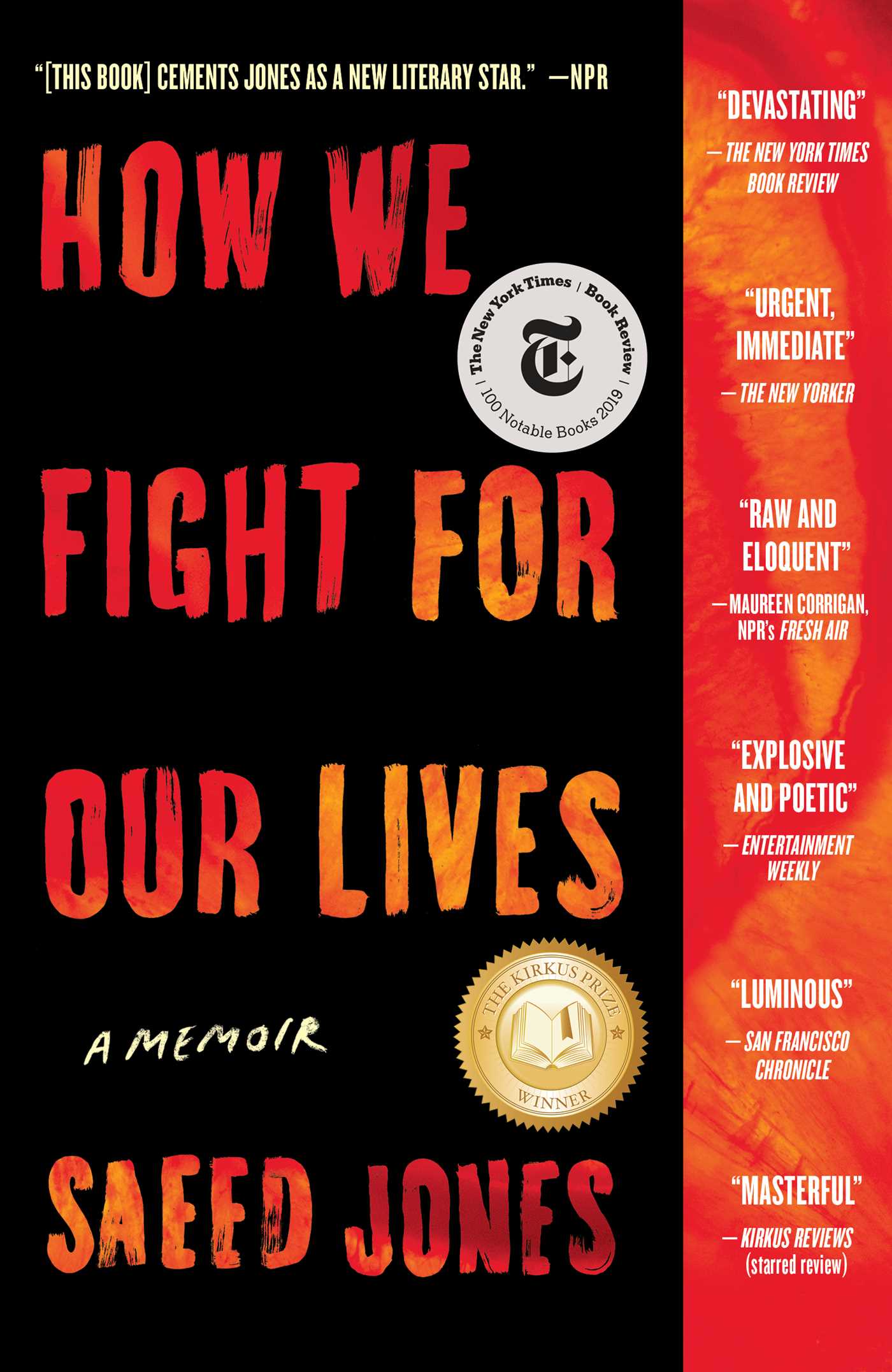How We Fight for Our Lives - Agricola Street Books
