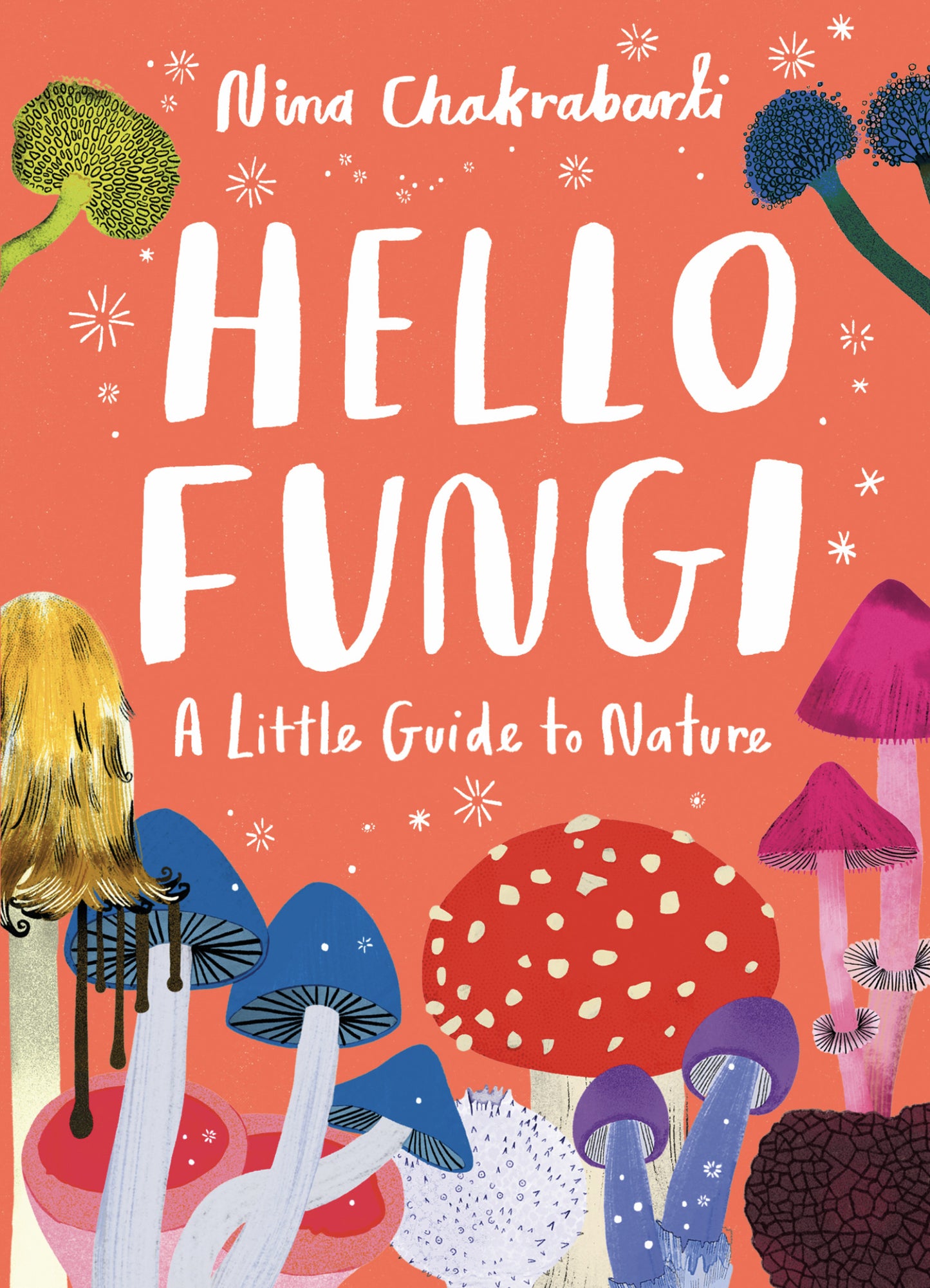 Little Guides to Nature: Hello Fungi - Agricola Street Books