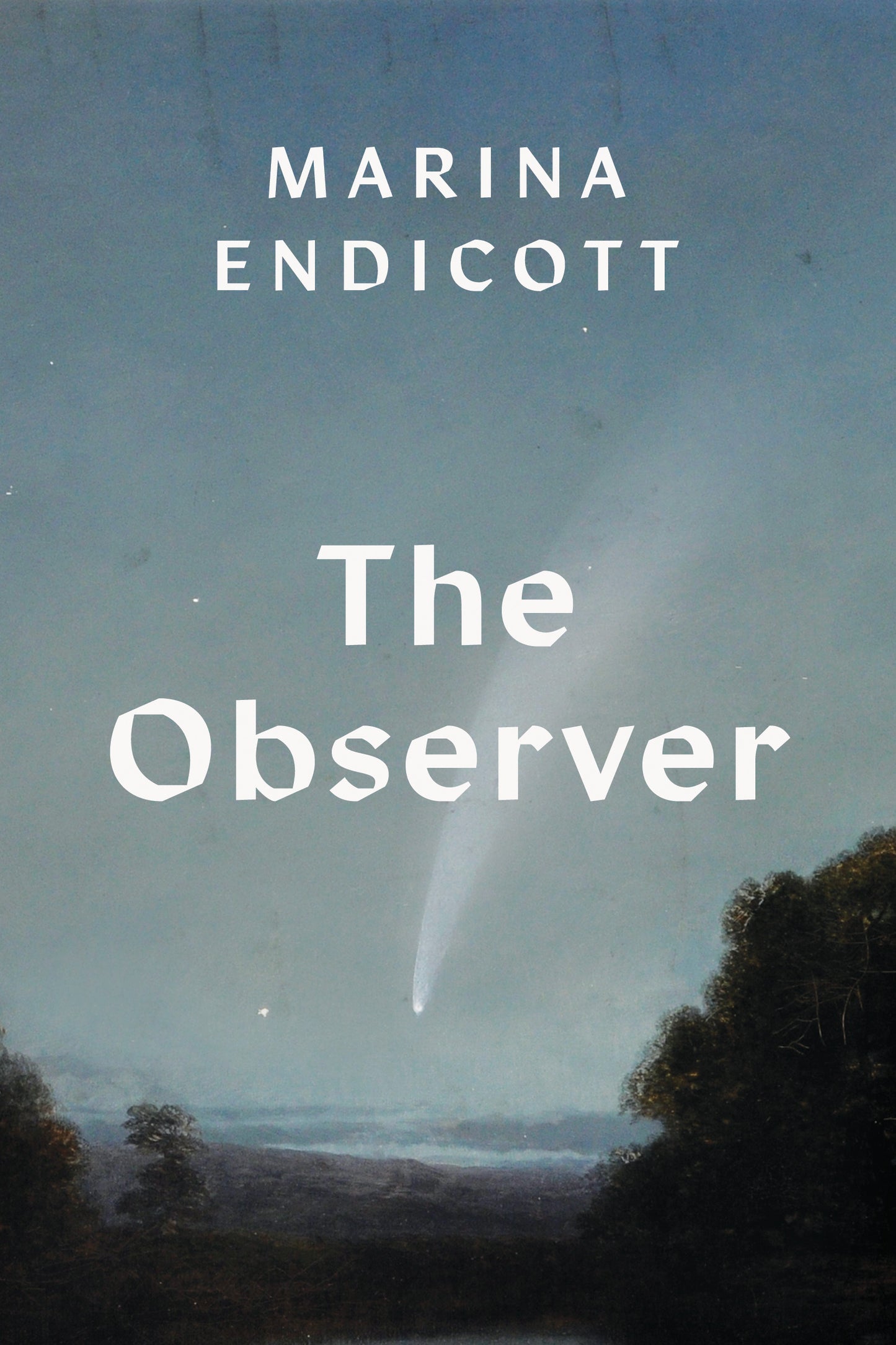 The Observer - Agricola Street Books
