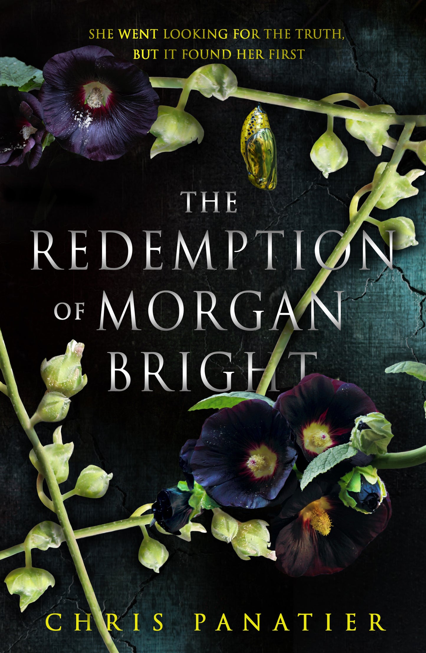 The Redemption of Morgan Bright - Agricola Street Books