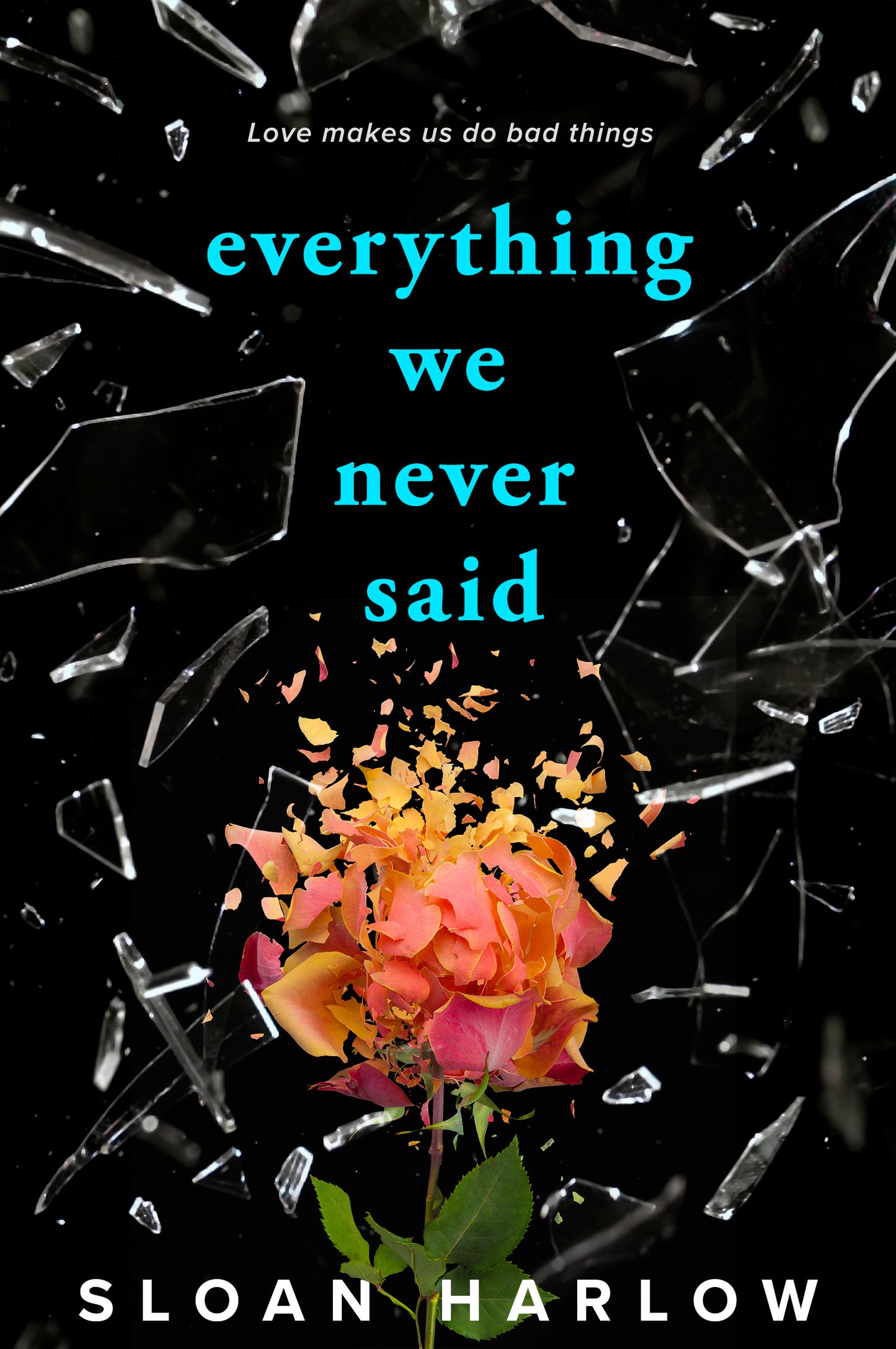 Everything We Never Said - Agricola Street Books