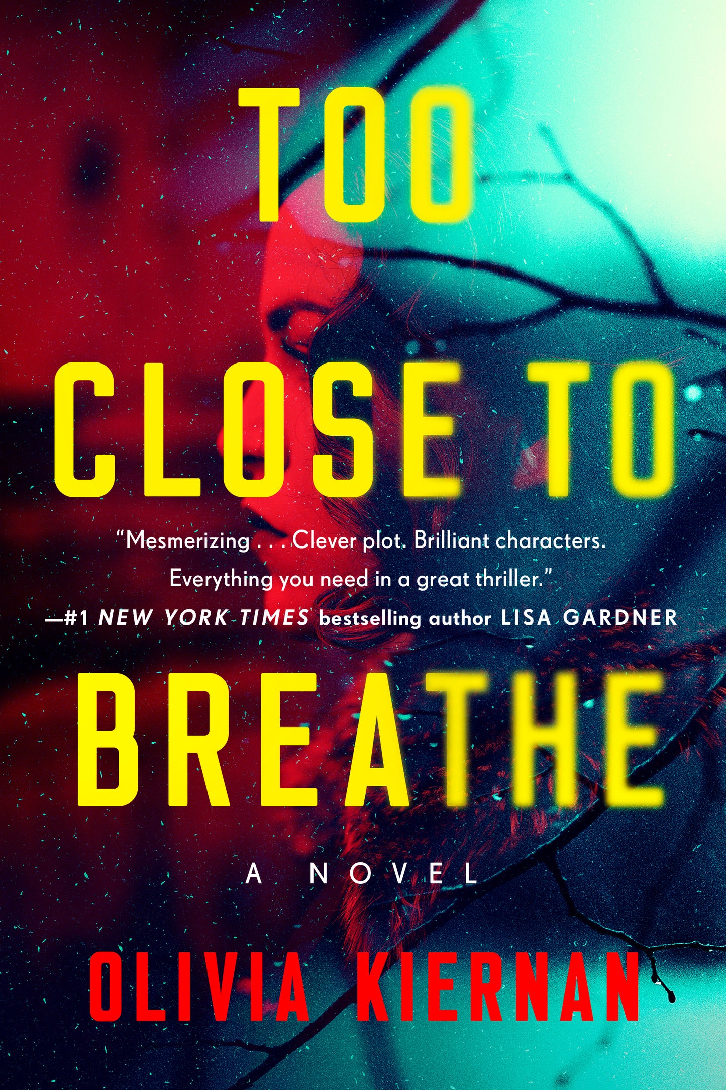 Too Close to Breathe - Agricola Street Books