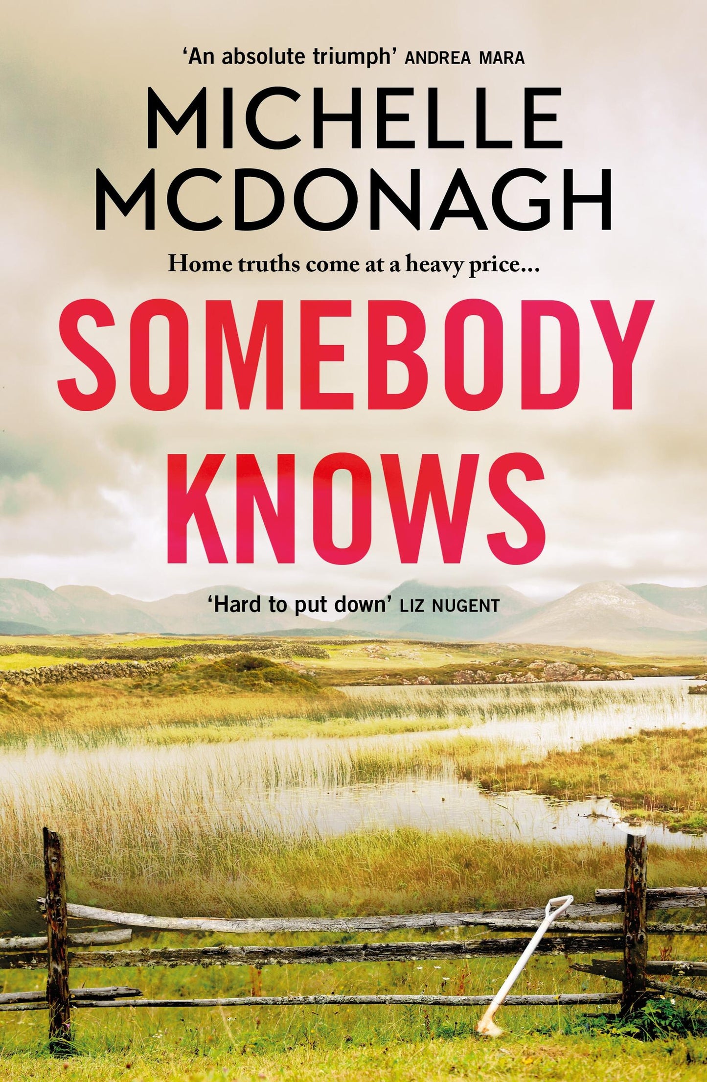 Somebody Knows - Agricola Street Books