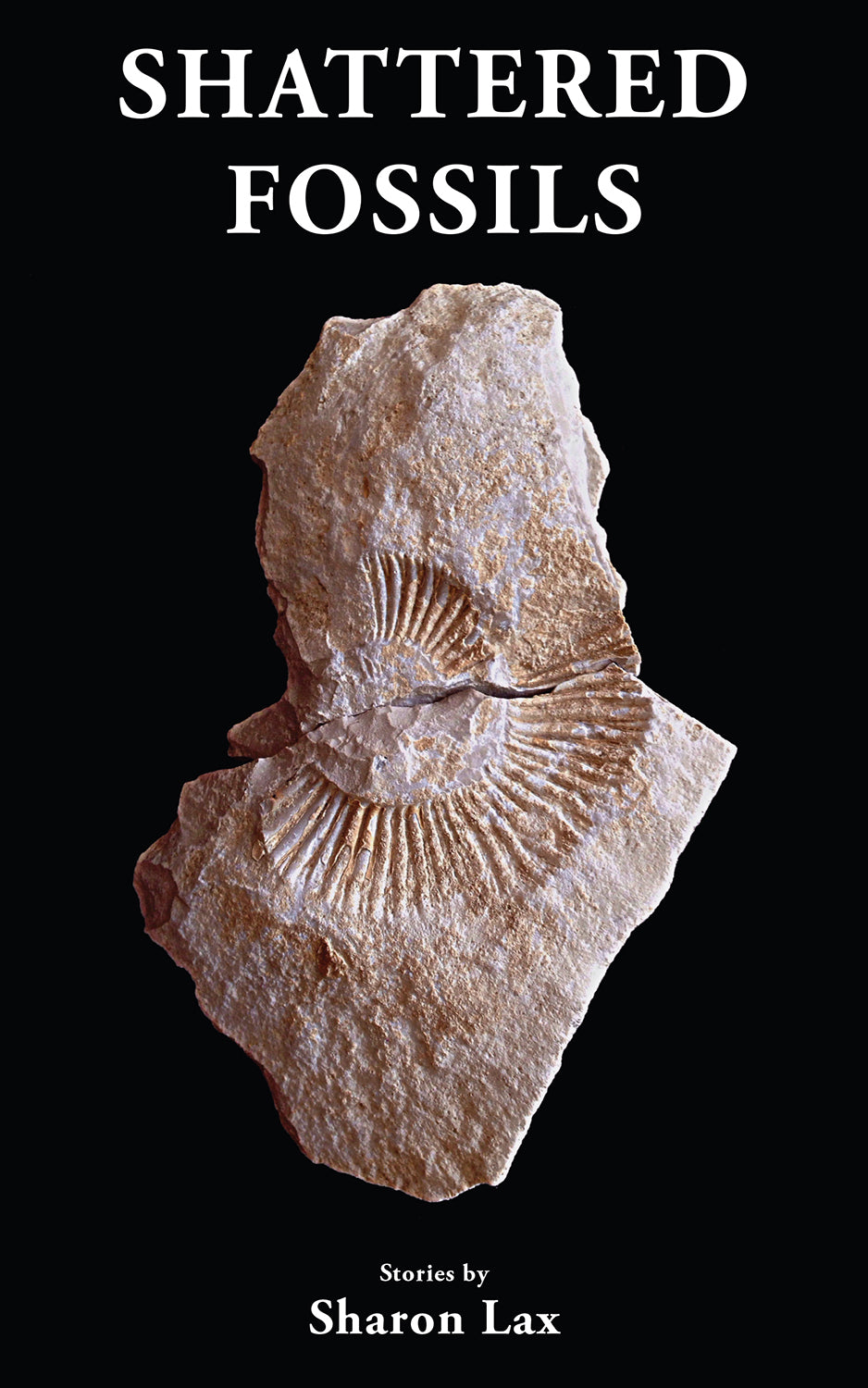 Shattered Fossils - Agricola Street Books